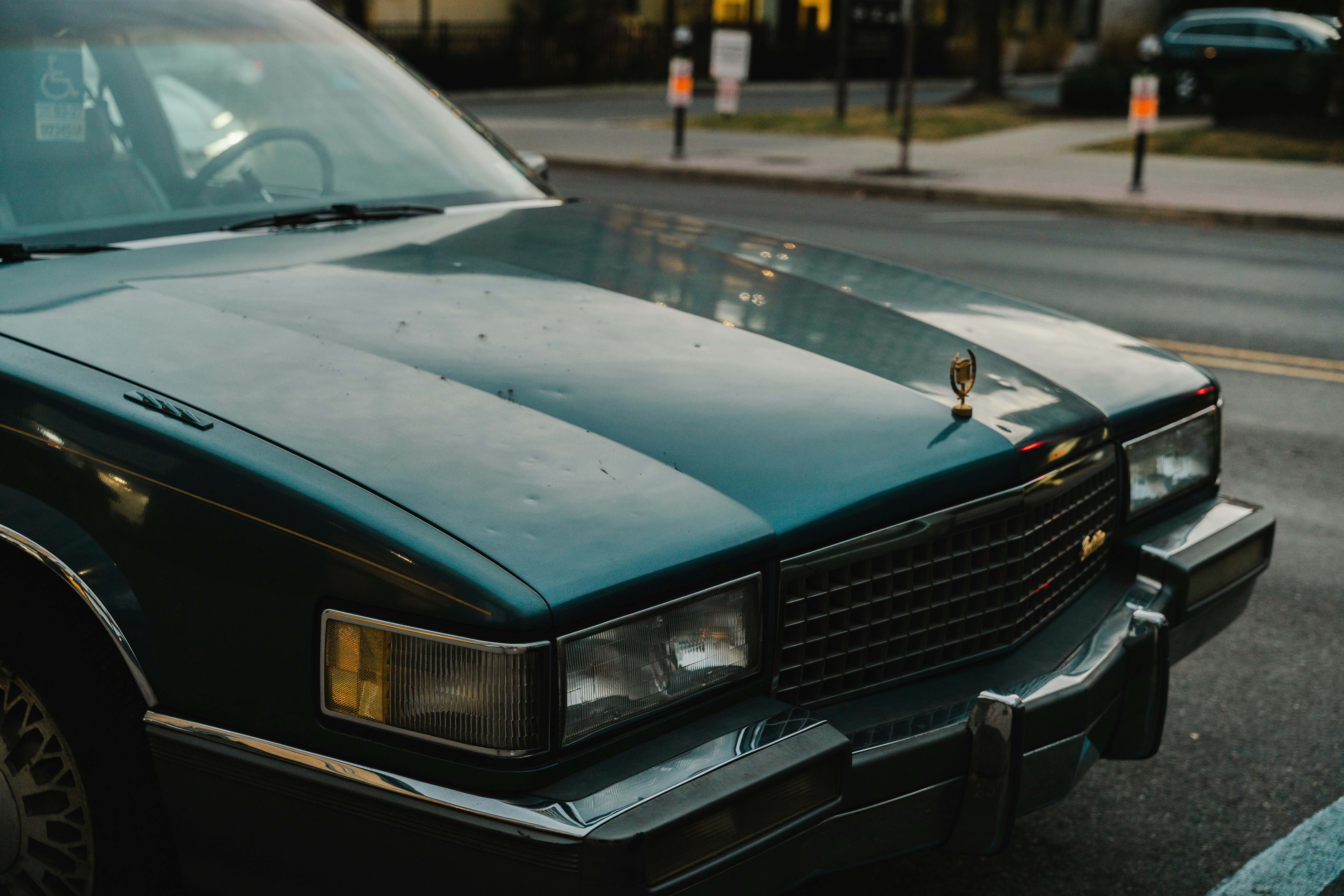 Photo by nellie_adamyan