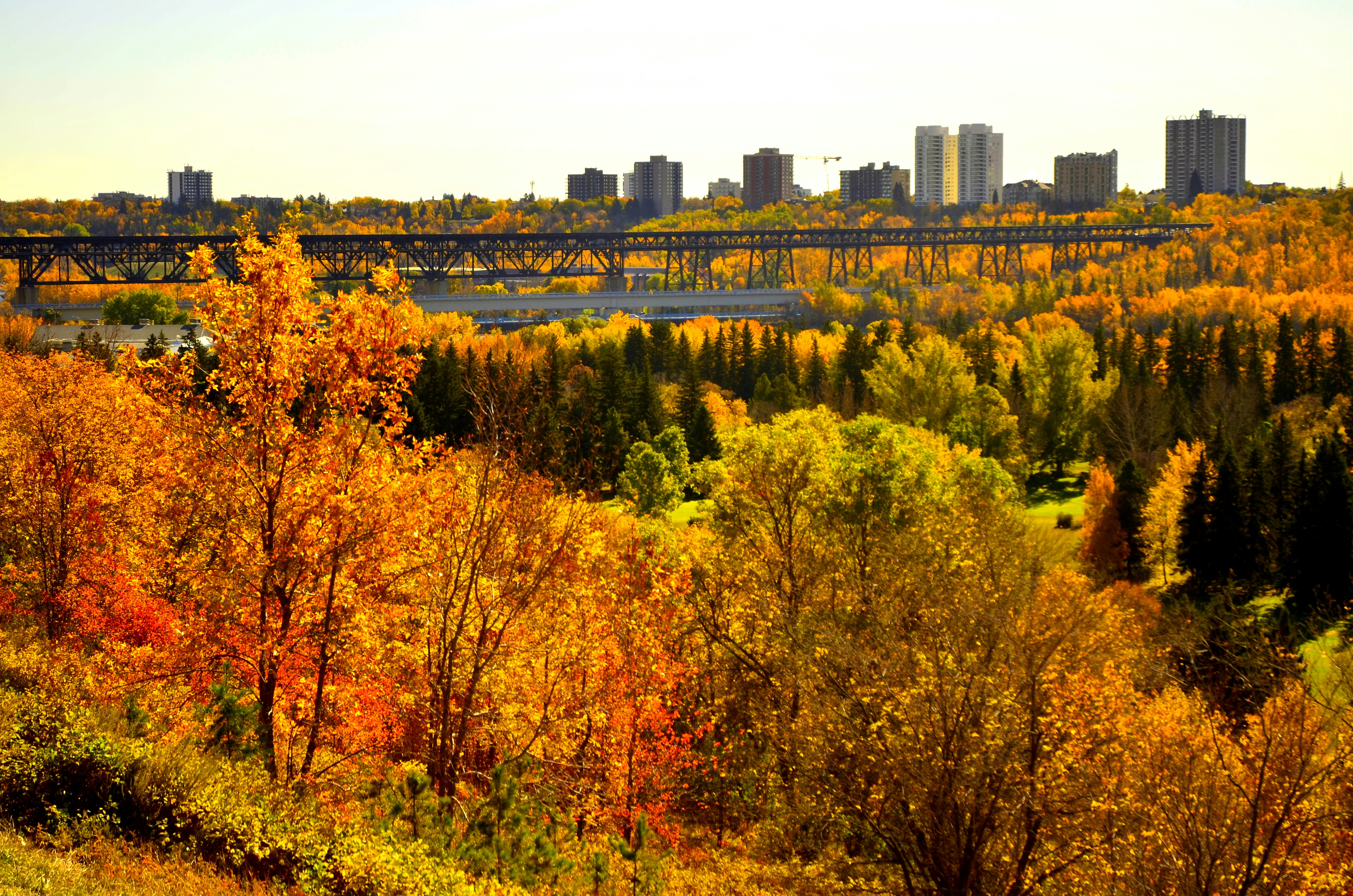 A scenic view of a city and a river