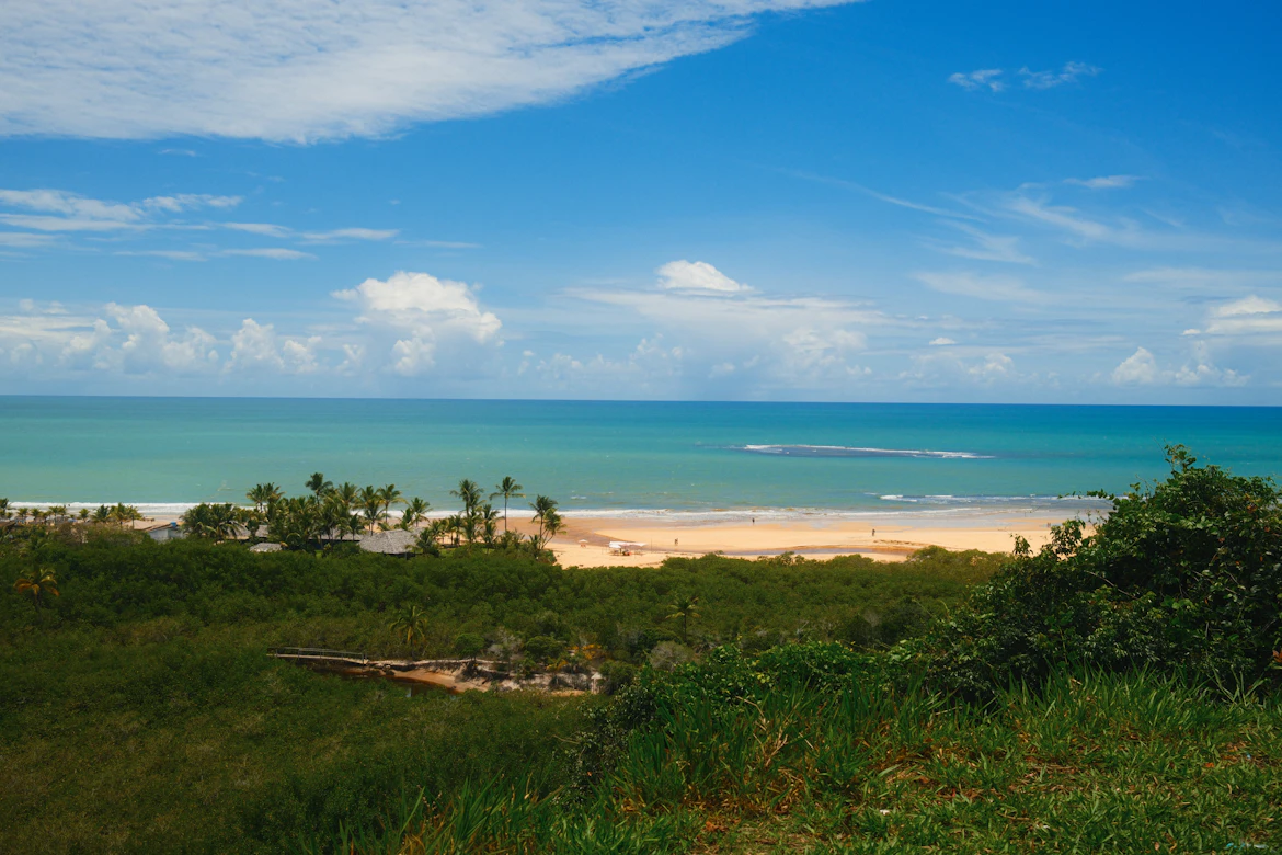 Traditional boats resting on the calm waters of Bahia