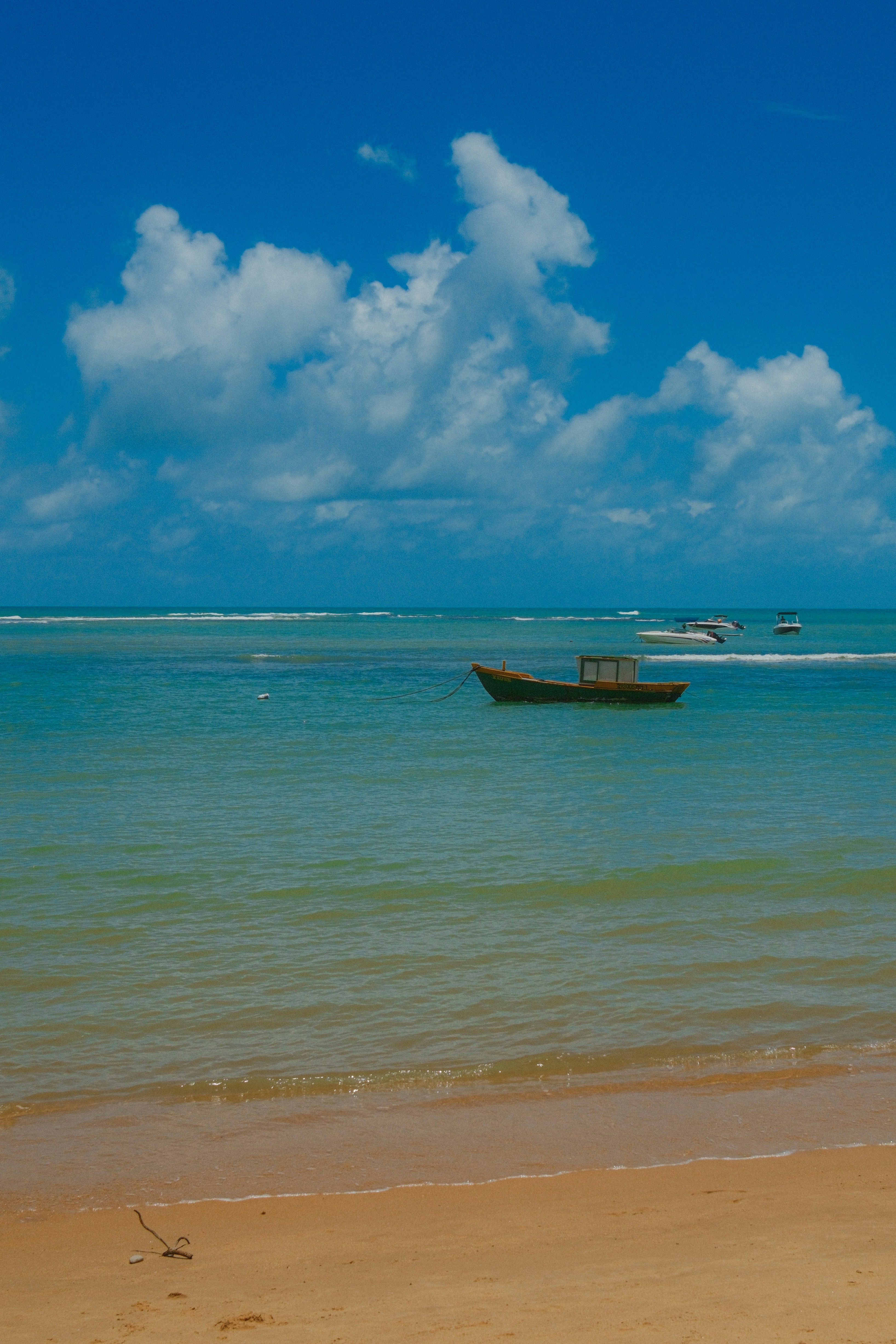 Photo by limamauro23