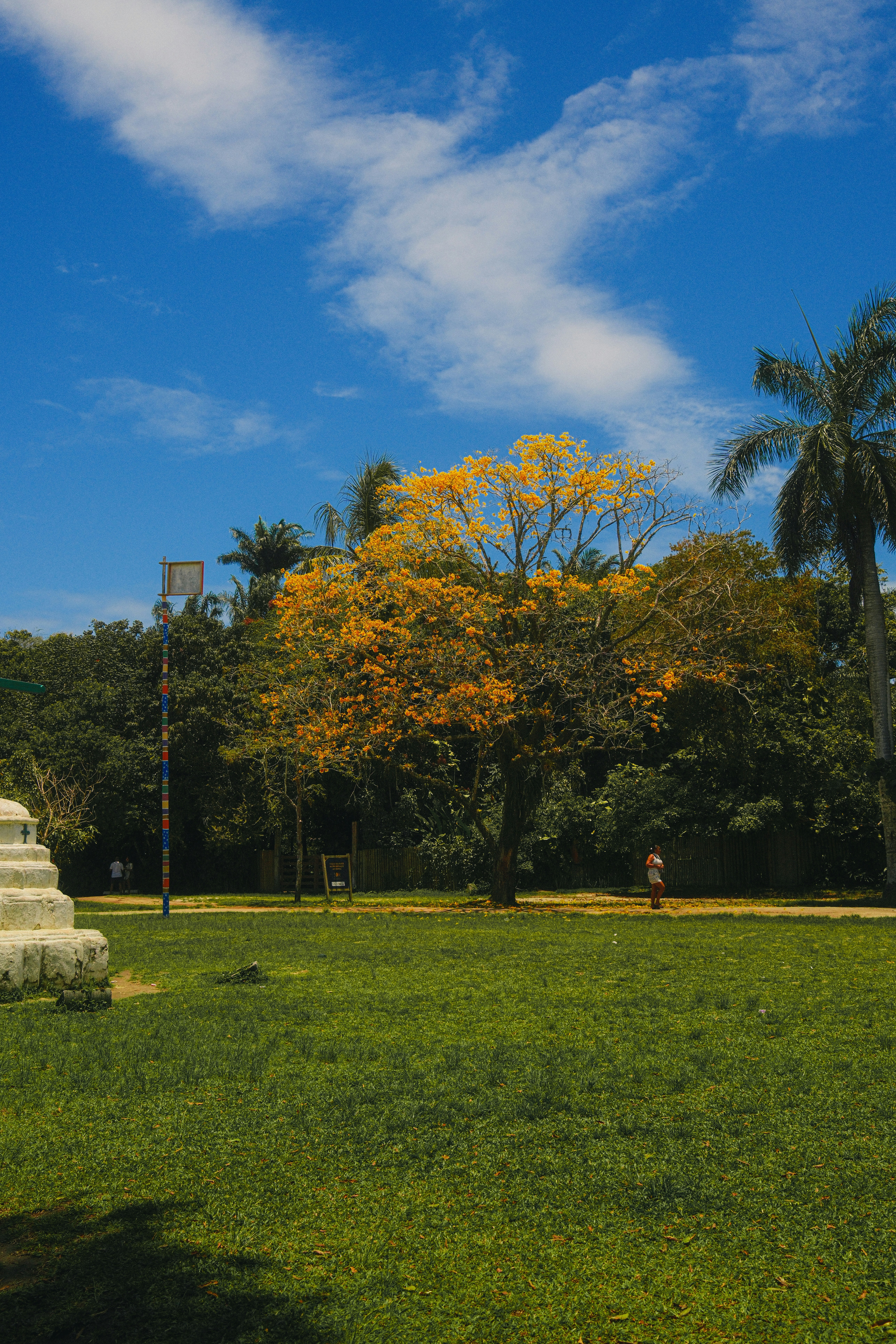 Simon Bolivar Metropolitan Park