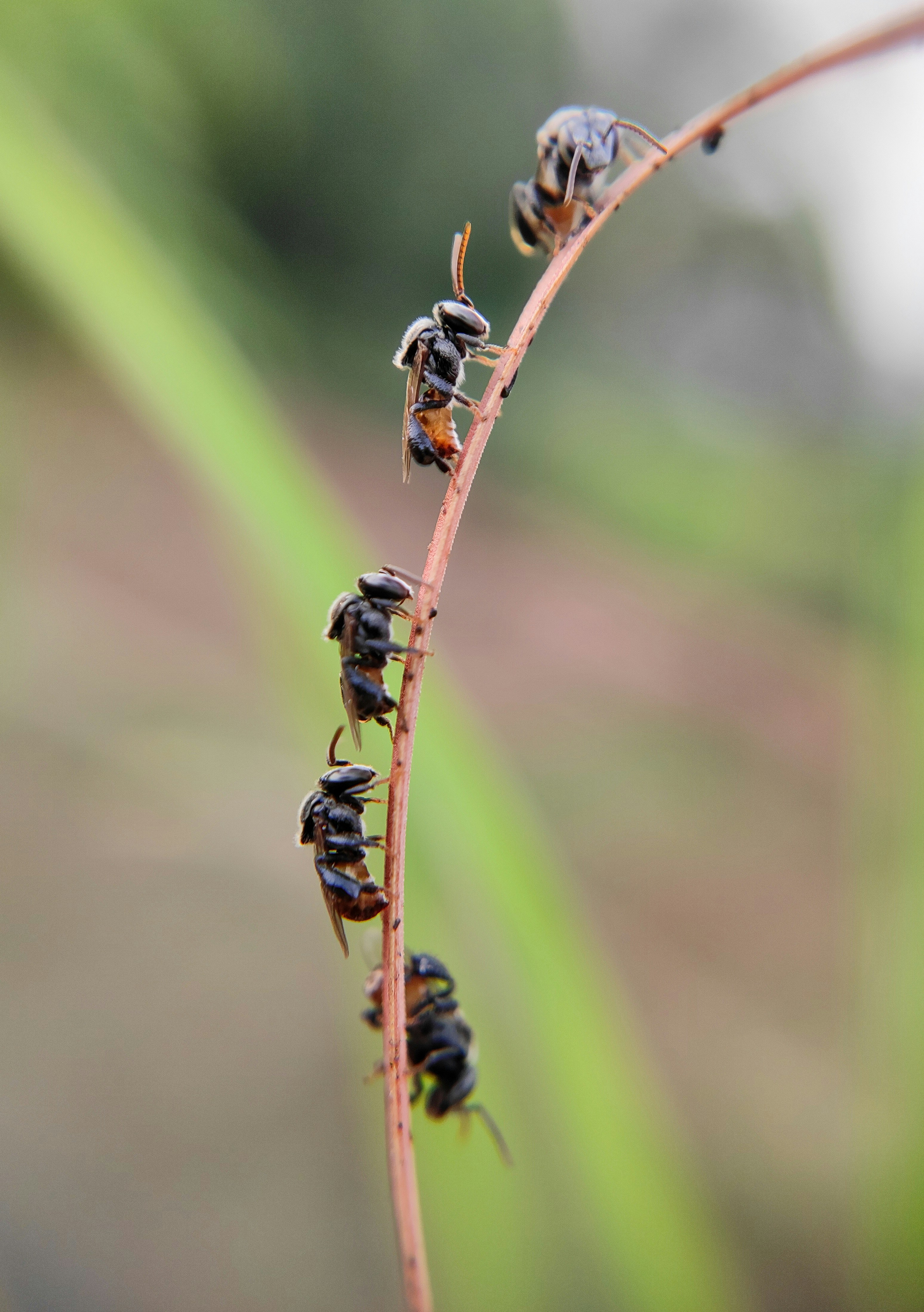 Photo by macrosam