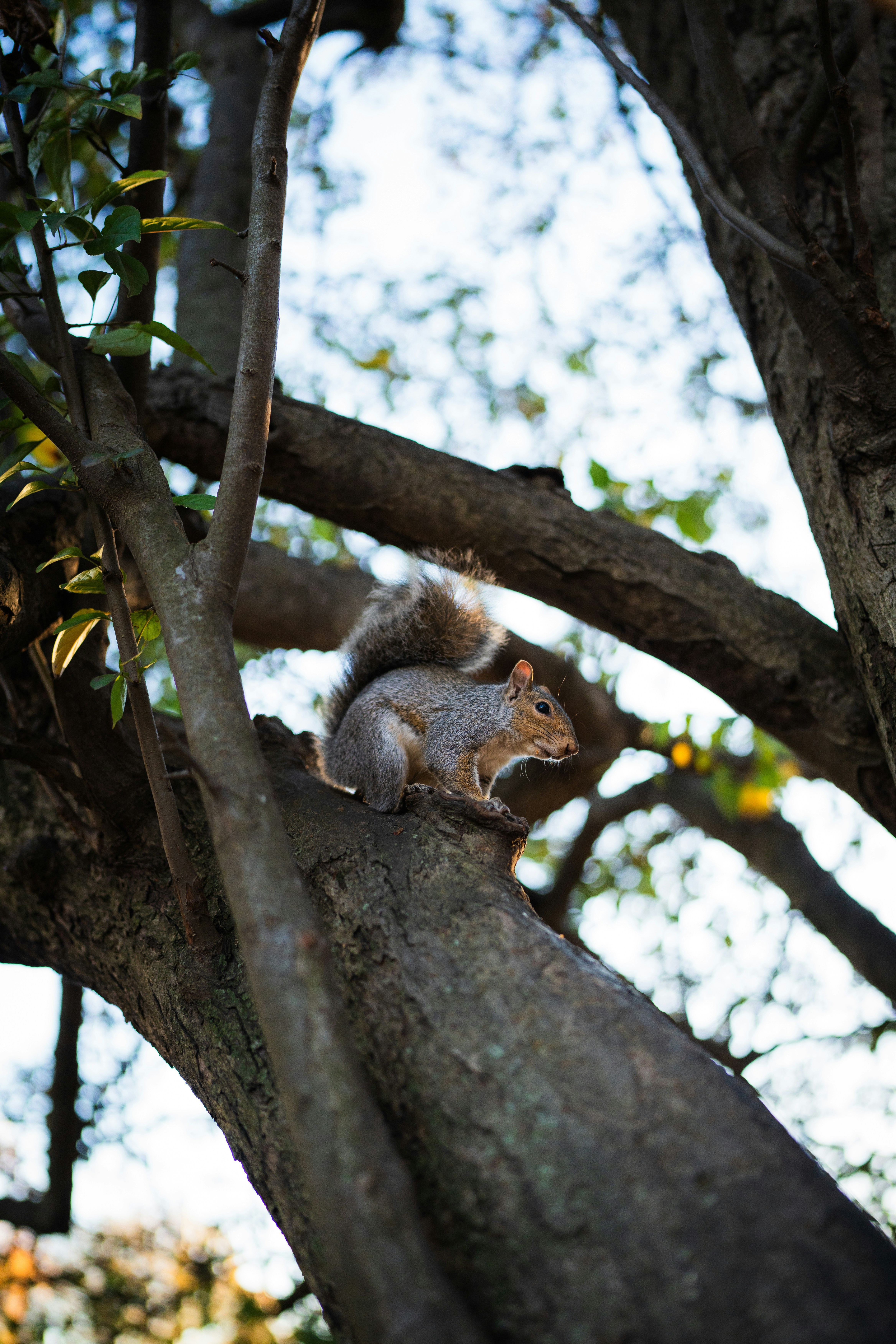 Photo by mbcarterphotography