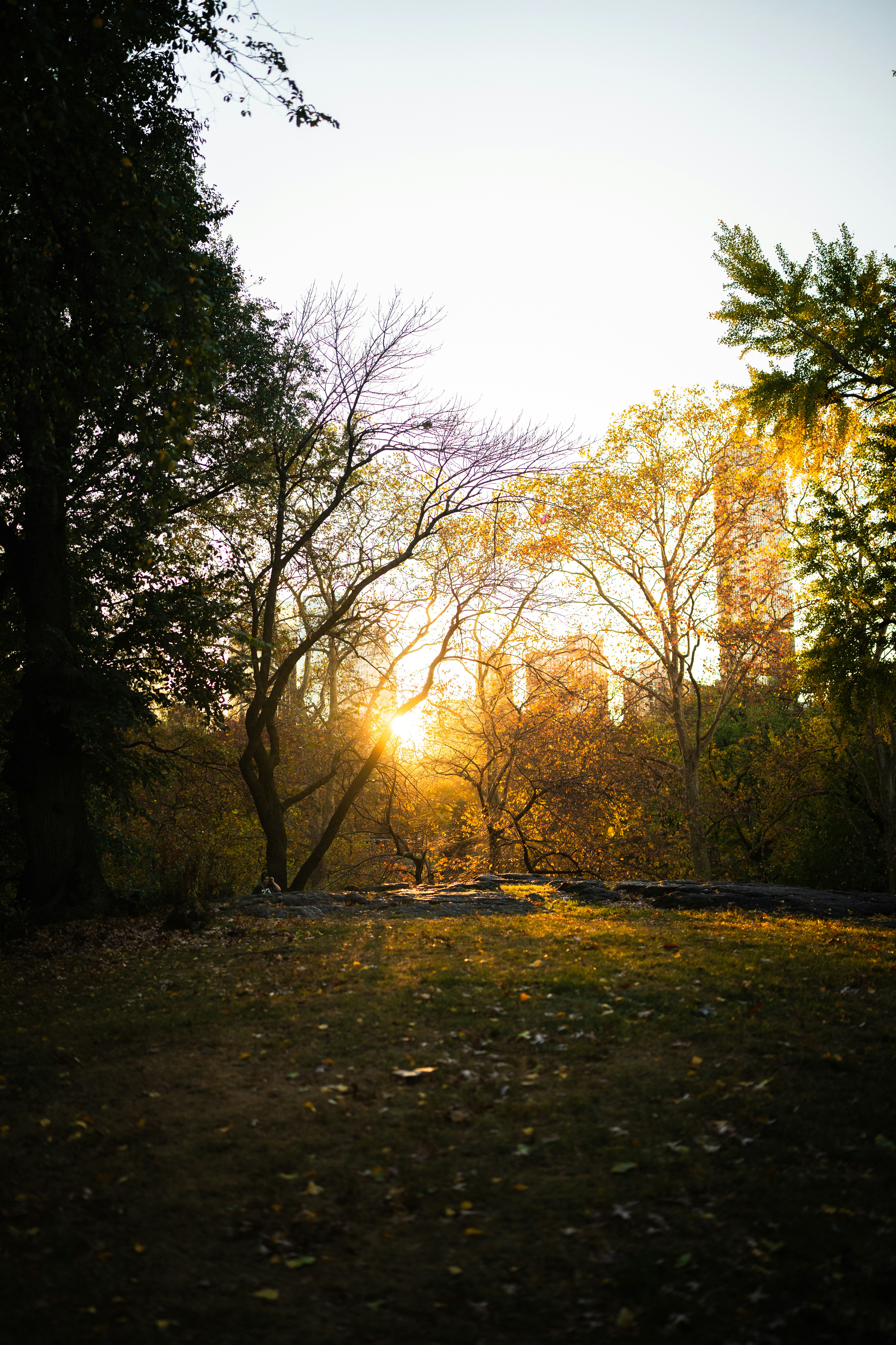 Photo by mbcarterphotography