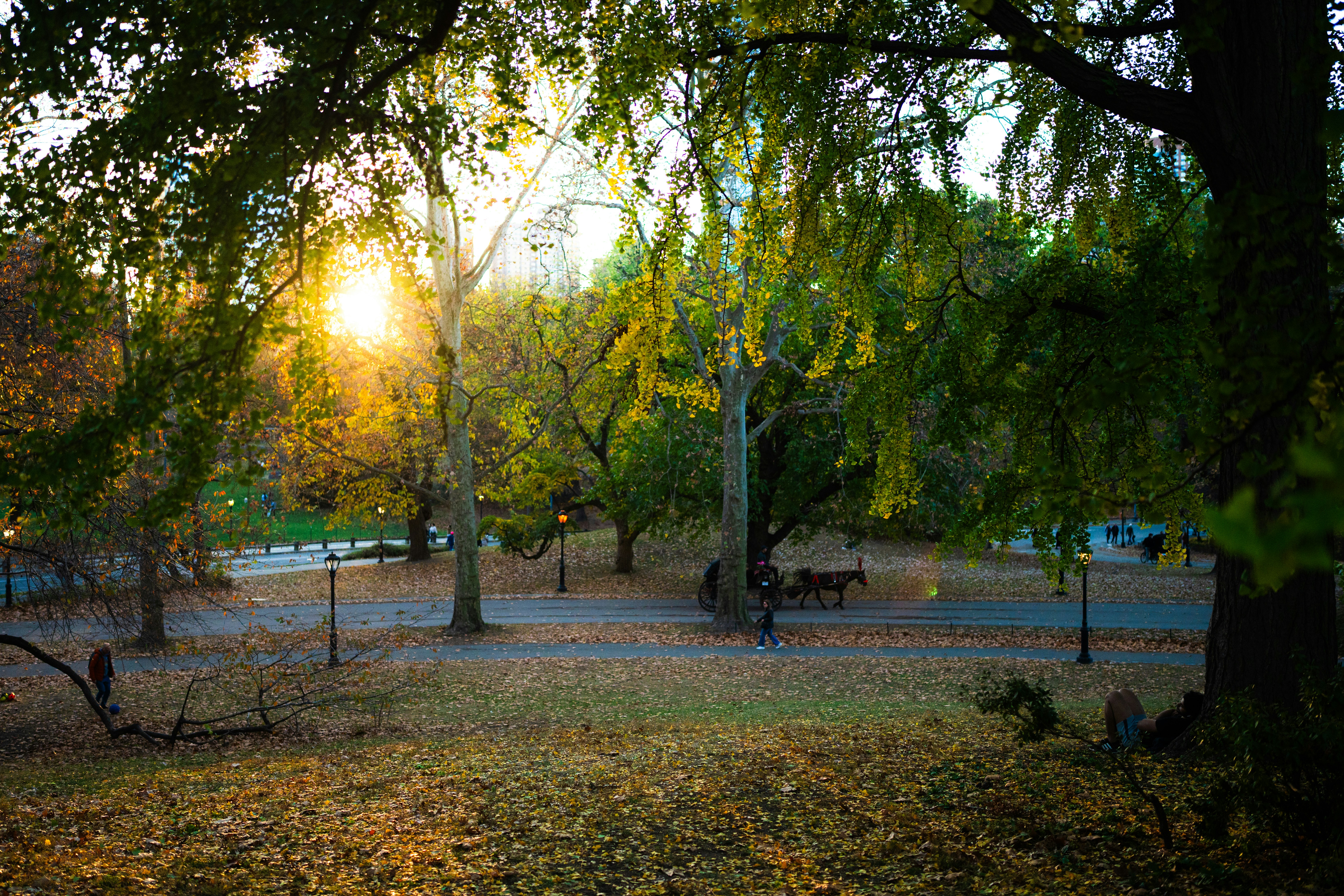 Photo by mbcarterphotography