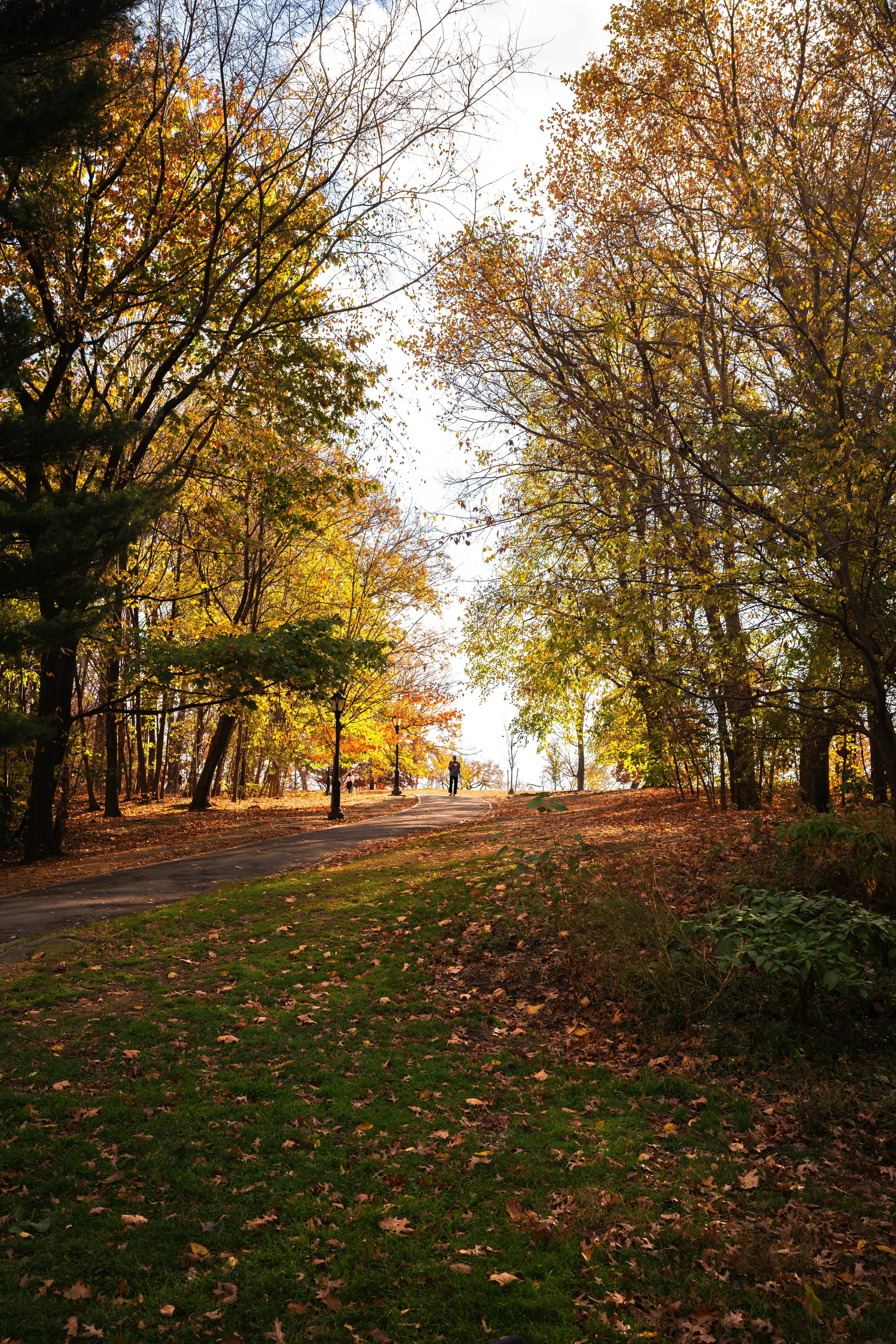 Photo by mbcarterphotography