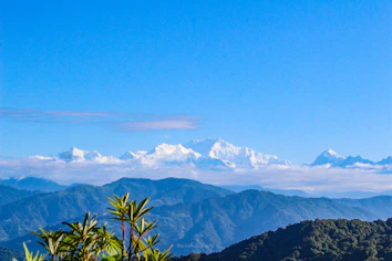 A view of a mountain range with trees in the foreground