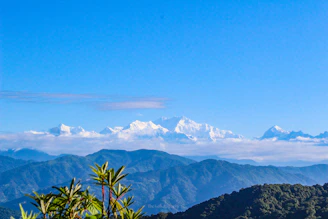 A view of a mountain range with trees in the foreground