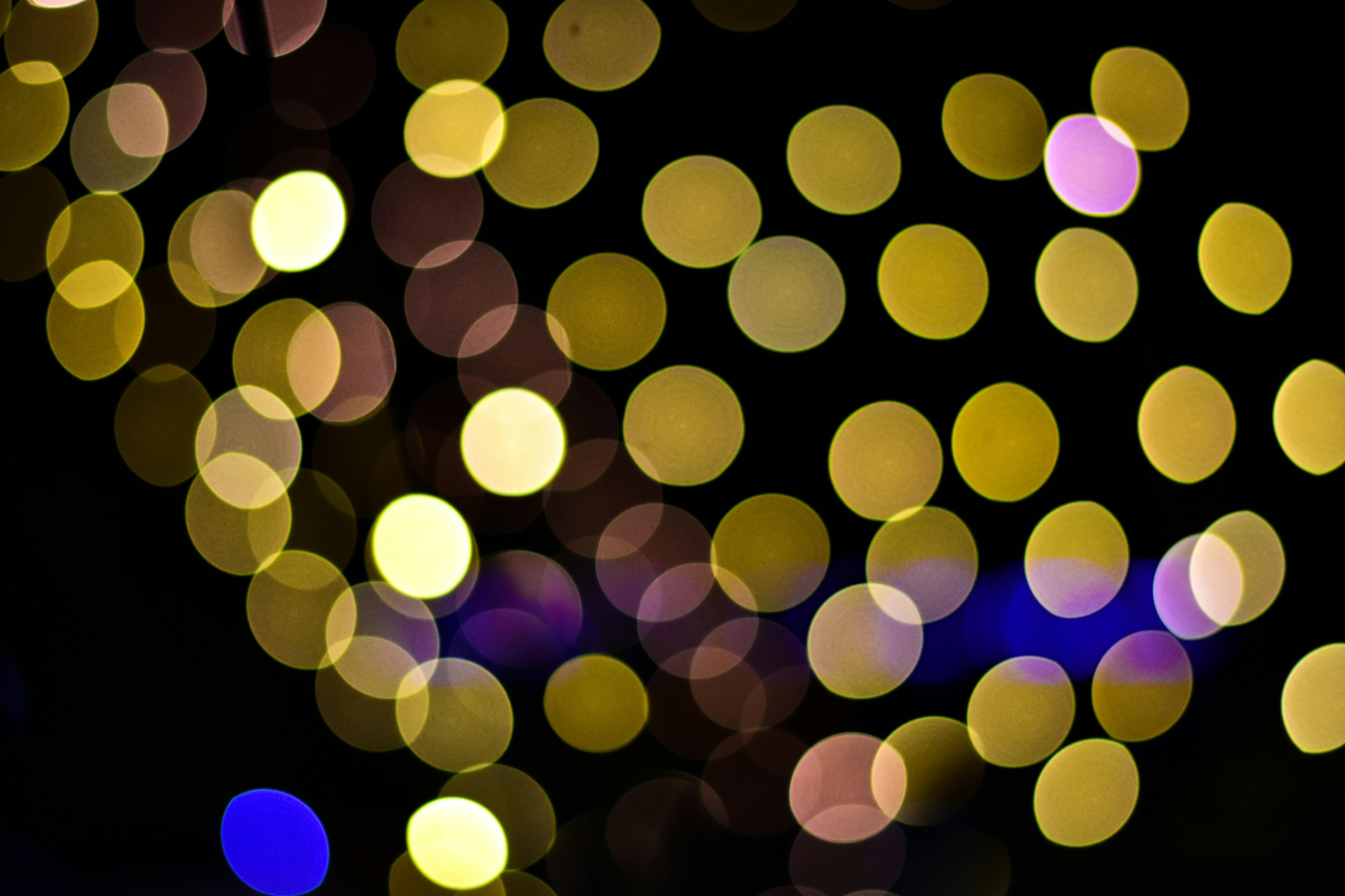 Photo by neelakshi_singh_