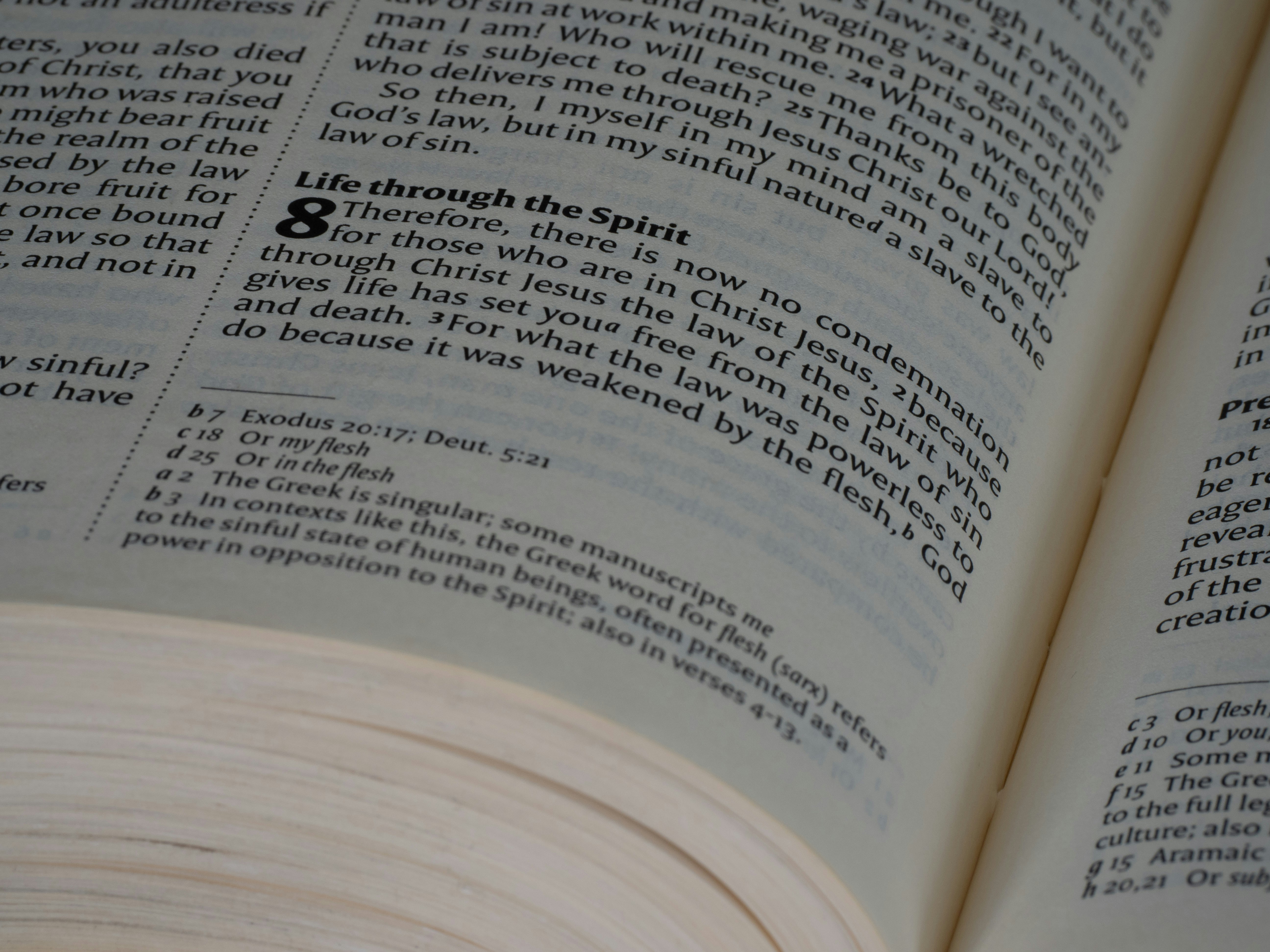 Photo by brett_jordan