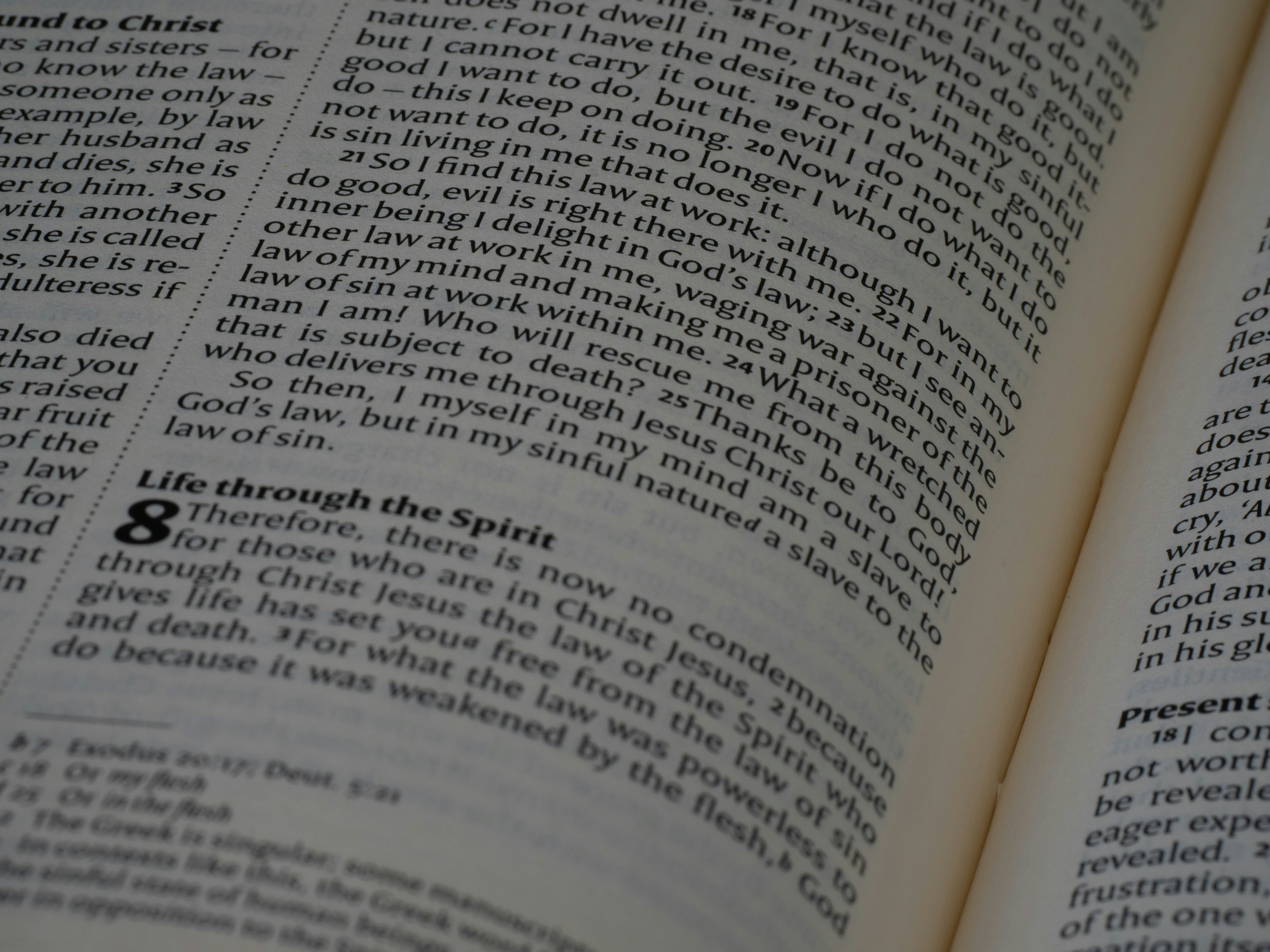 Photo by brett_jordan