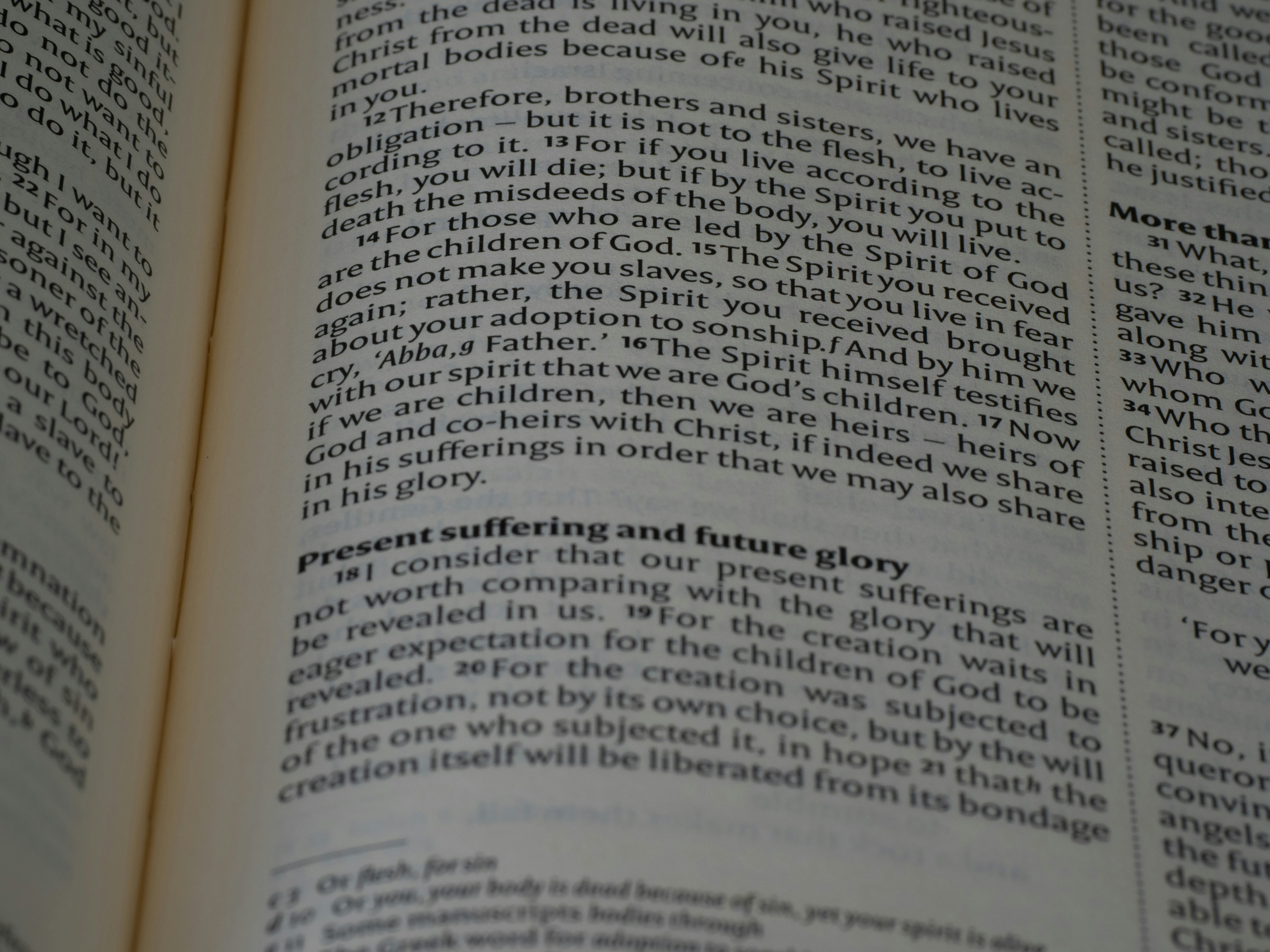 photo-1732089786782-0329cc20ad18?ixid=M3wxMjA3fDB8MXxzZWFyY2h8OHx8a29tcGVuZGl1bXNpY2hlcnVuZGdlc3VuZC5kZXxlbnwwfHx8fDE3NTY1MzgyMzB8MA\u0026ixlib=rb-4.1.0