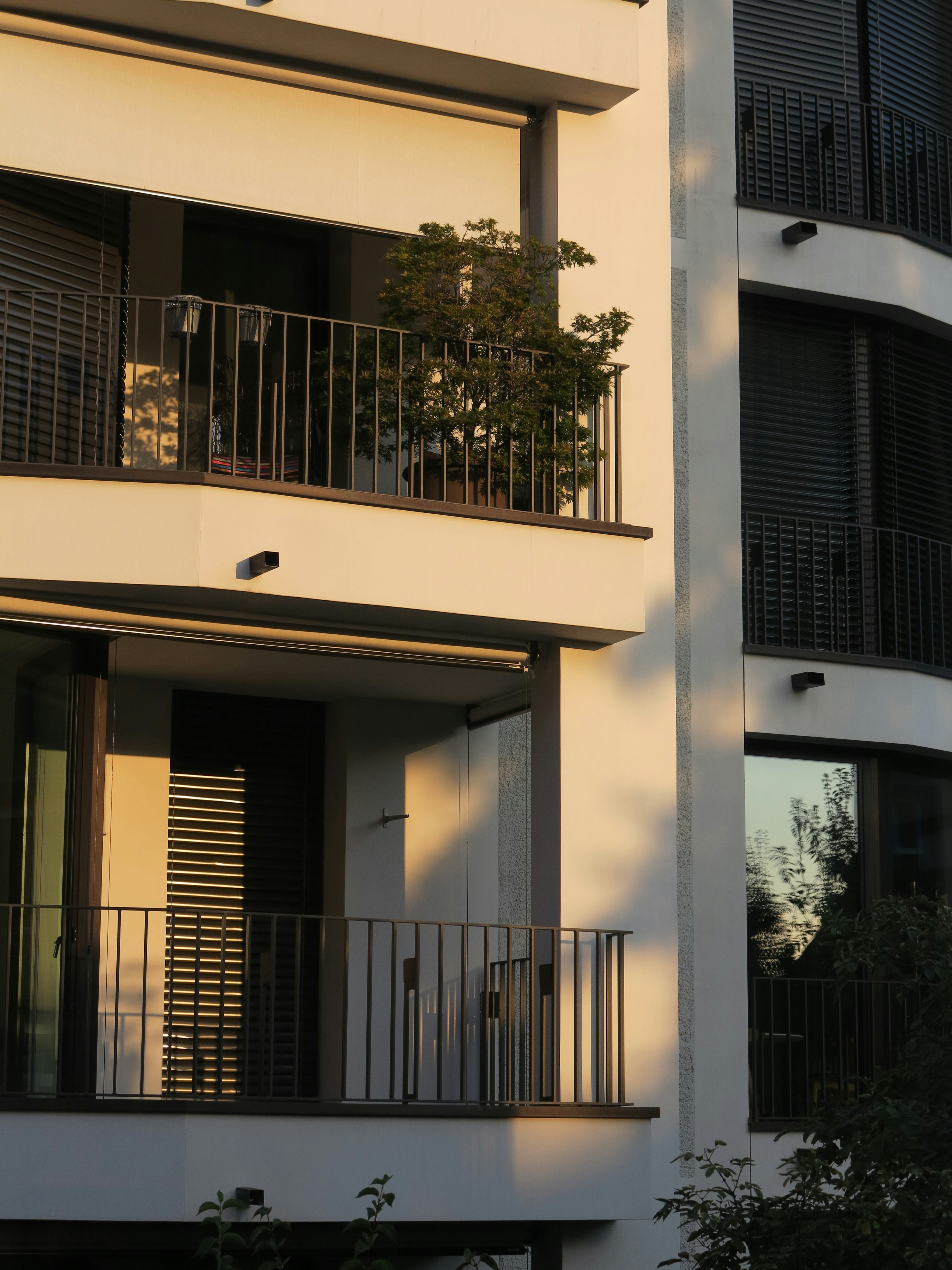 Photo by swornimshakya