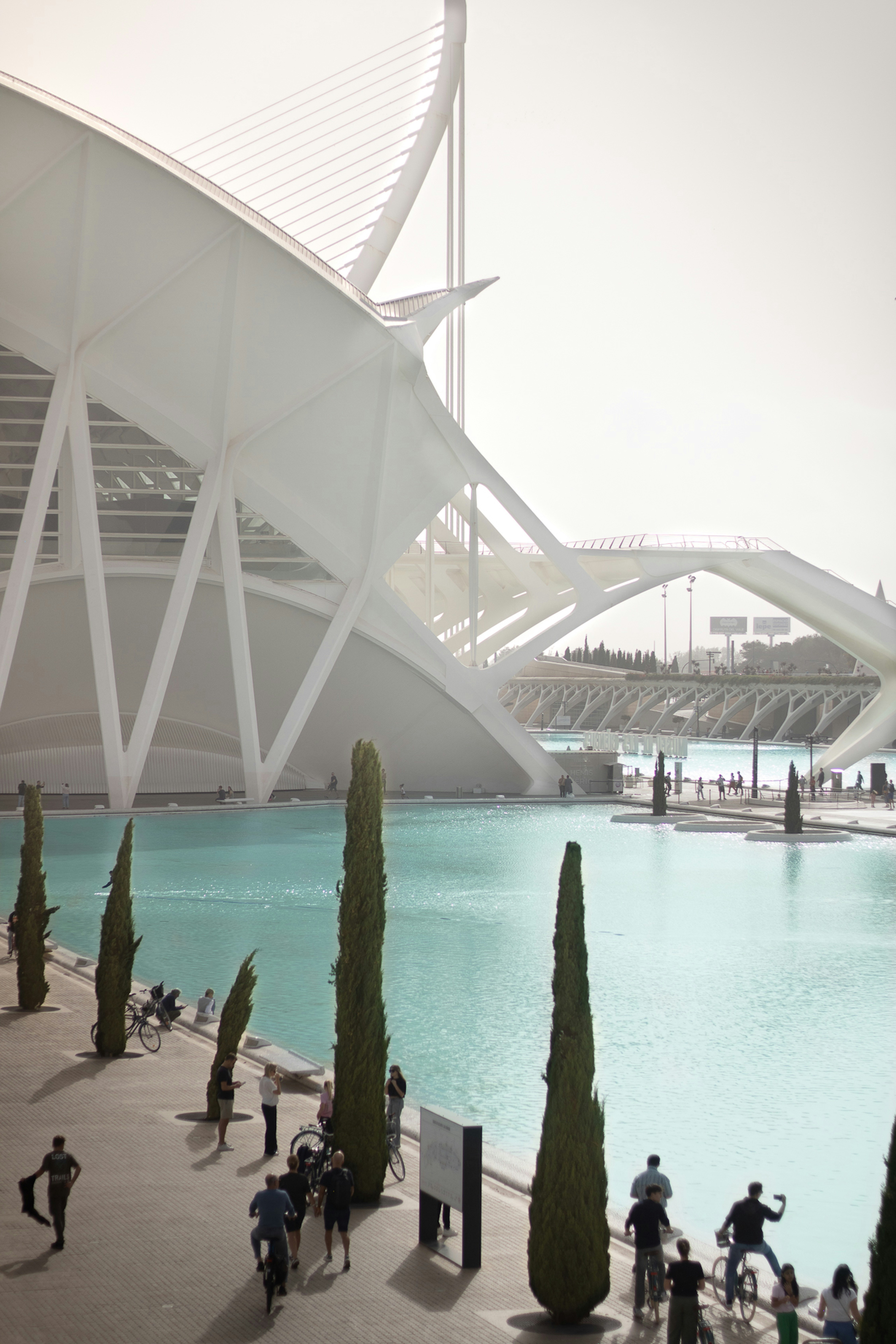 A group of people riding bikes near a body of water