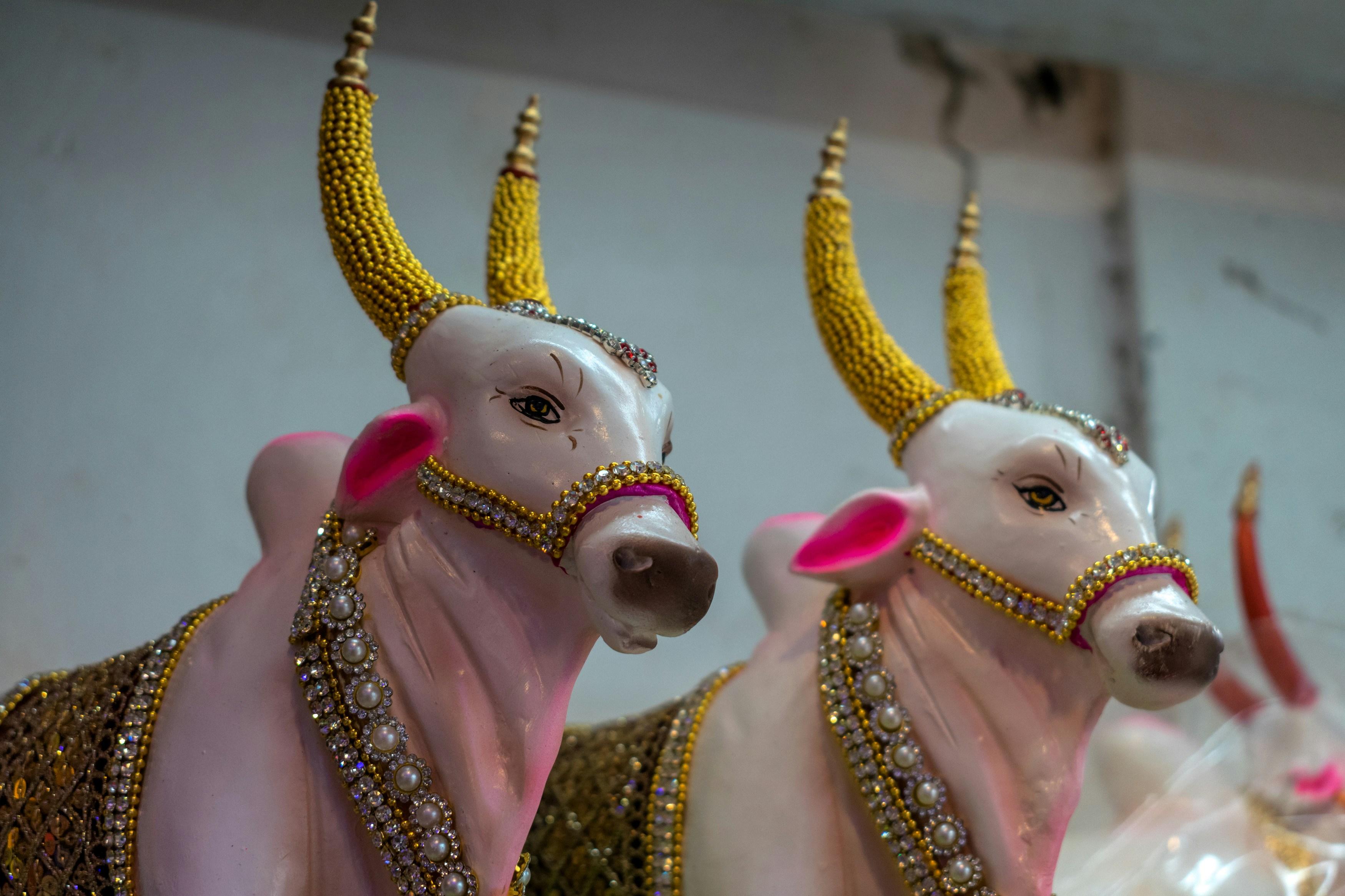 Beautiful idols of Nandi on display at a workshop in Mumbai, India for the festival of Ganesh Chaturthi