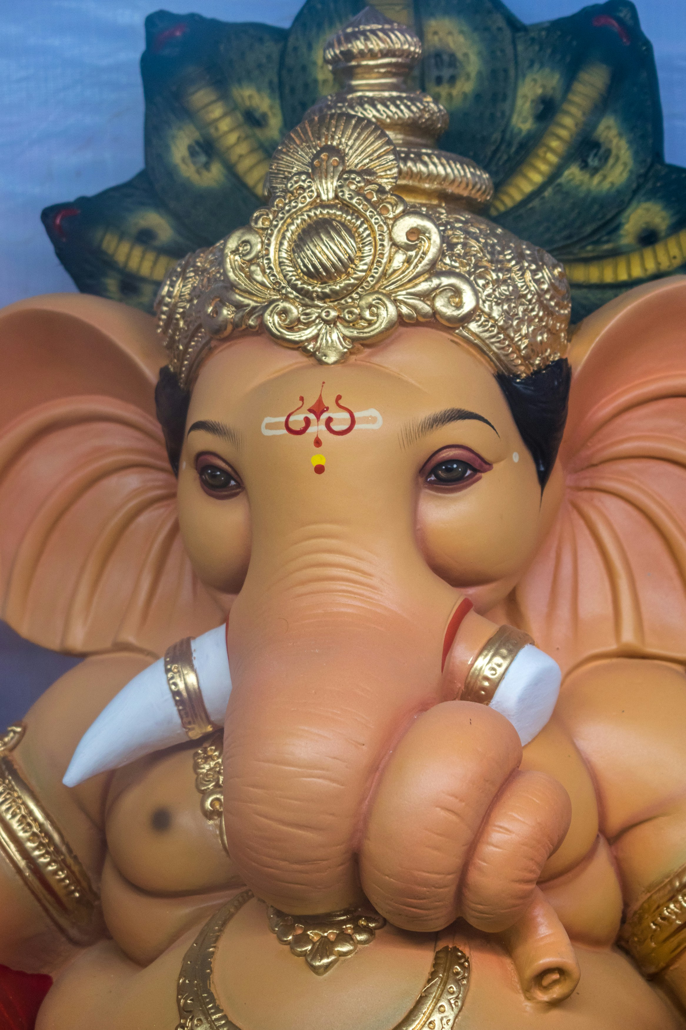 Photo by sonika_agarwal