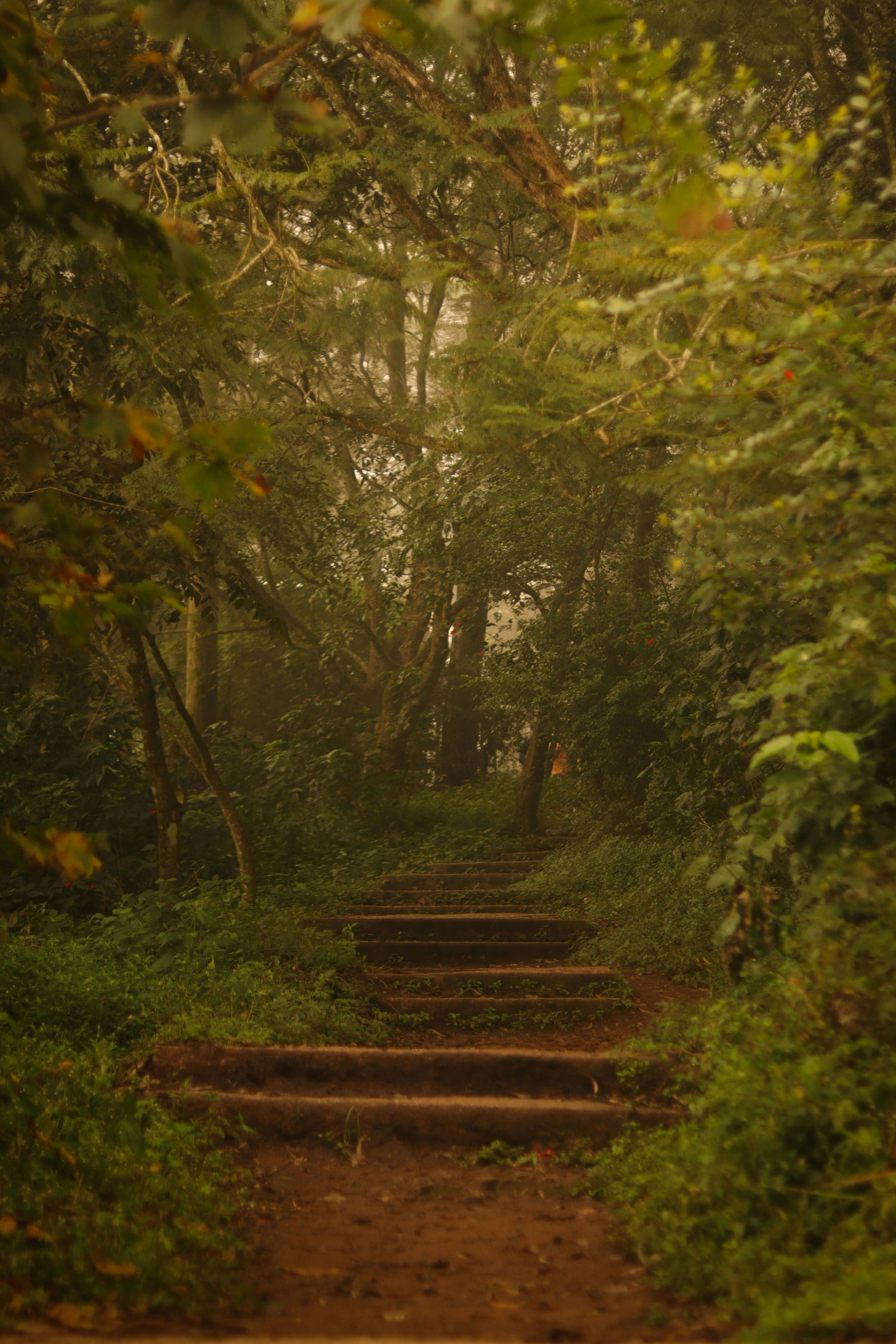 Photo by rafsalrahim