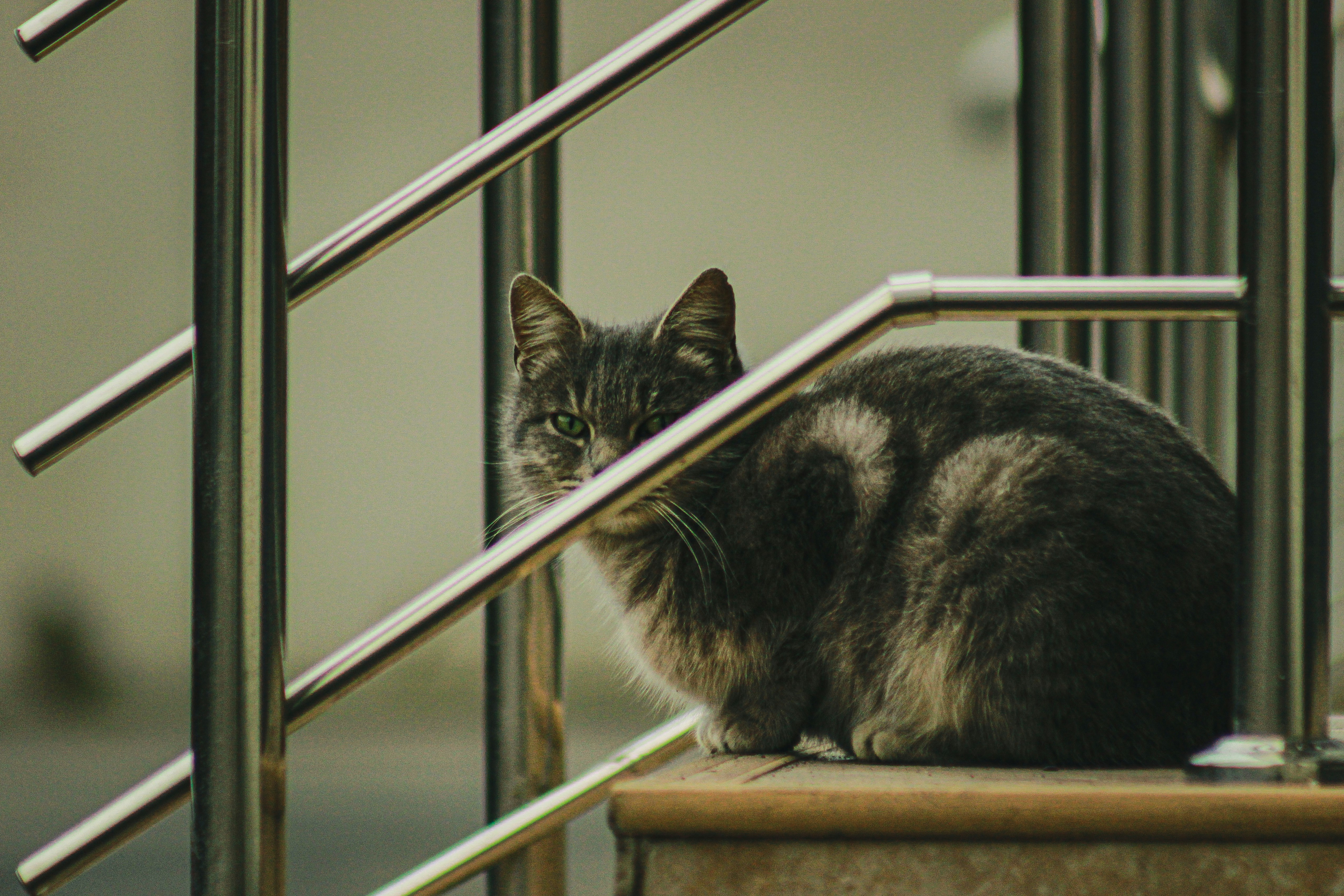 Photo by michael_kater