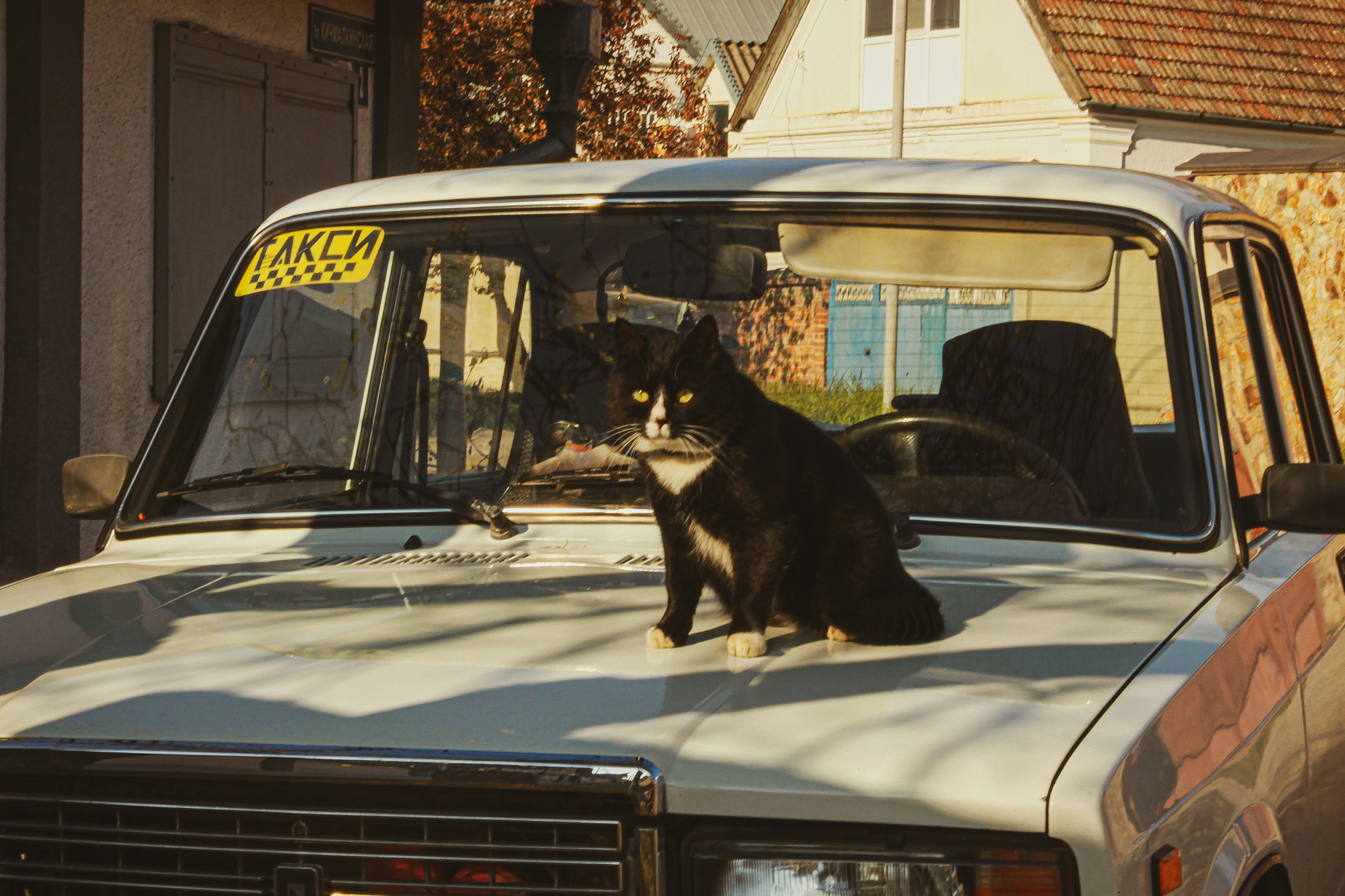 Ten Minutes for Driving Ep. 15