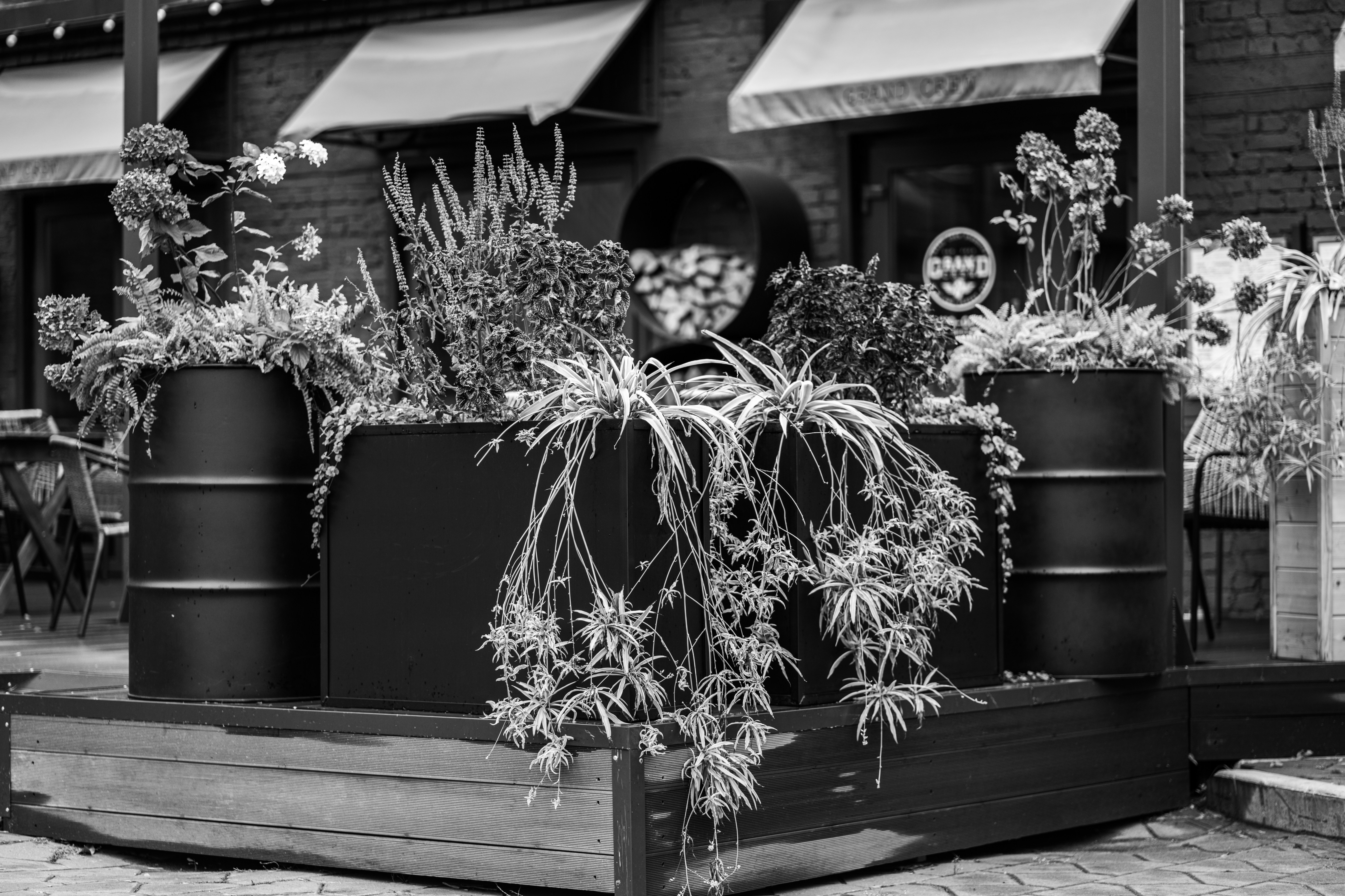 A black and white photo of a flower shop