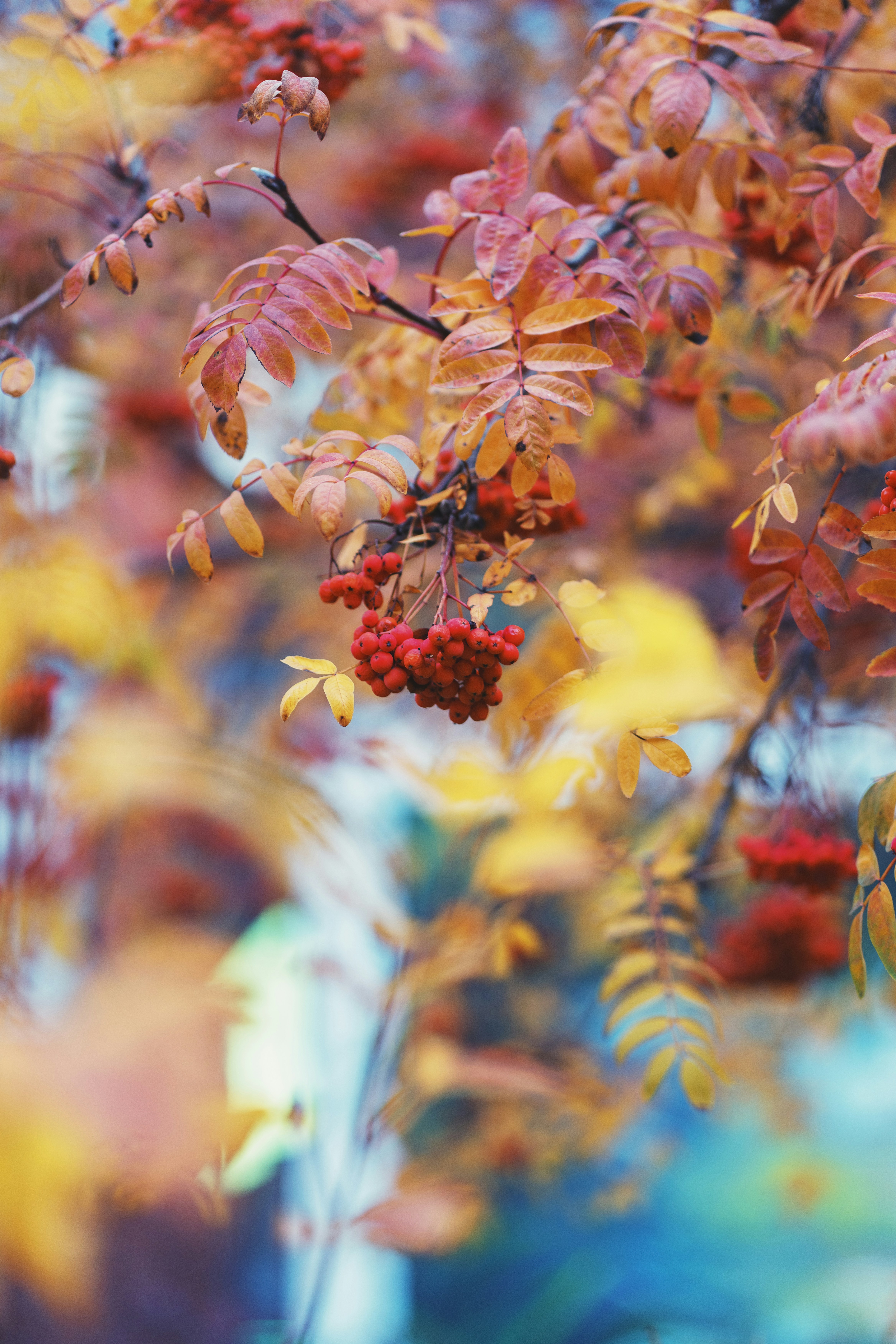 Photo by auxsource