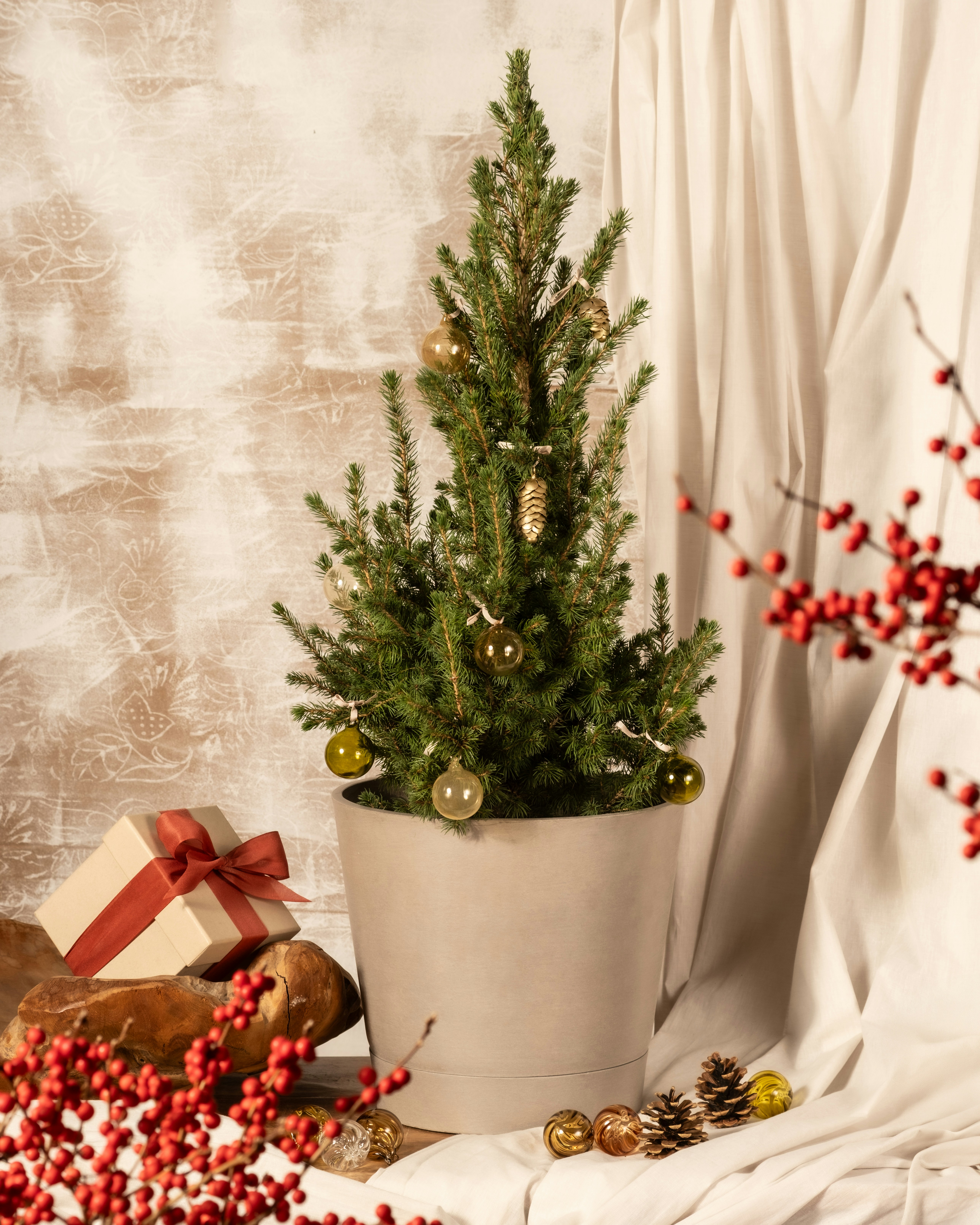 A small christmas tree sitting next to a potted plant