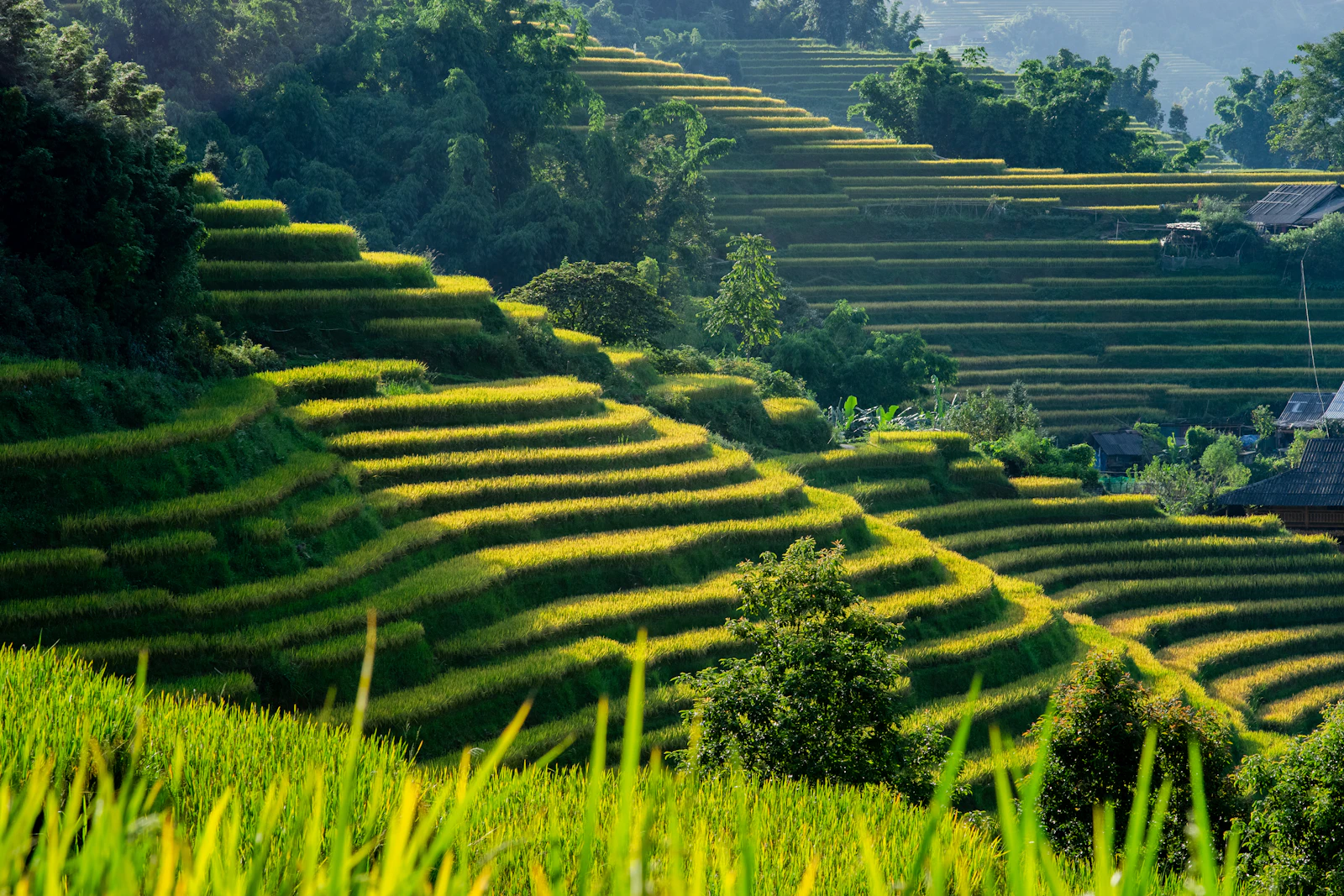 Vietnam in photos