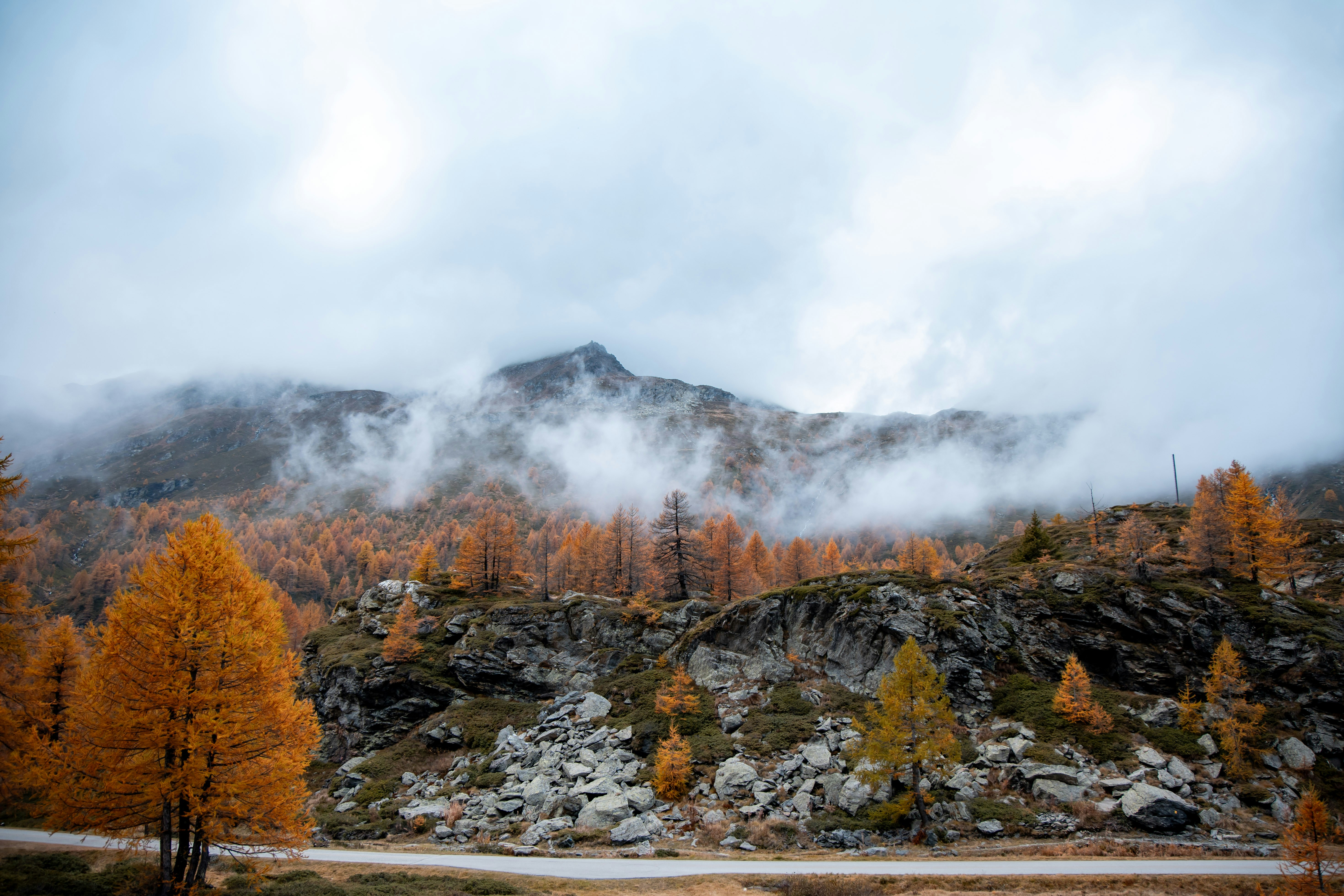 A scenic view of a mountain range with trees in the foreground