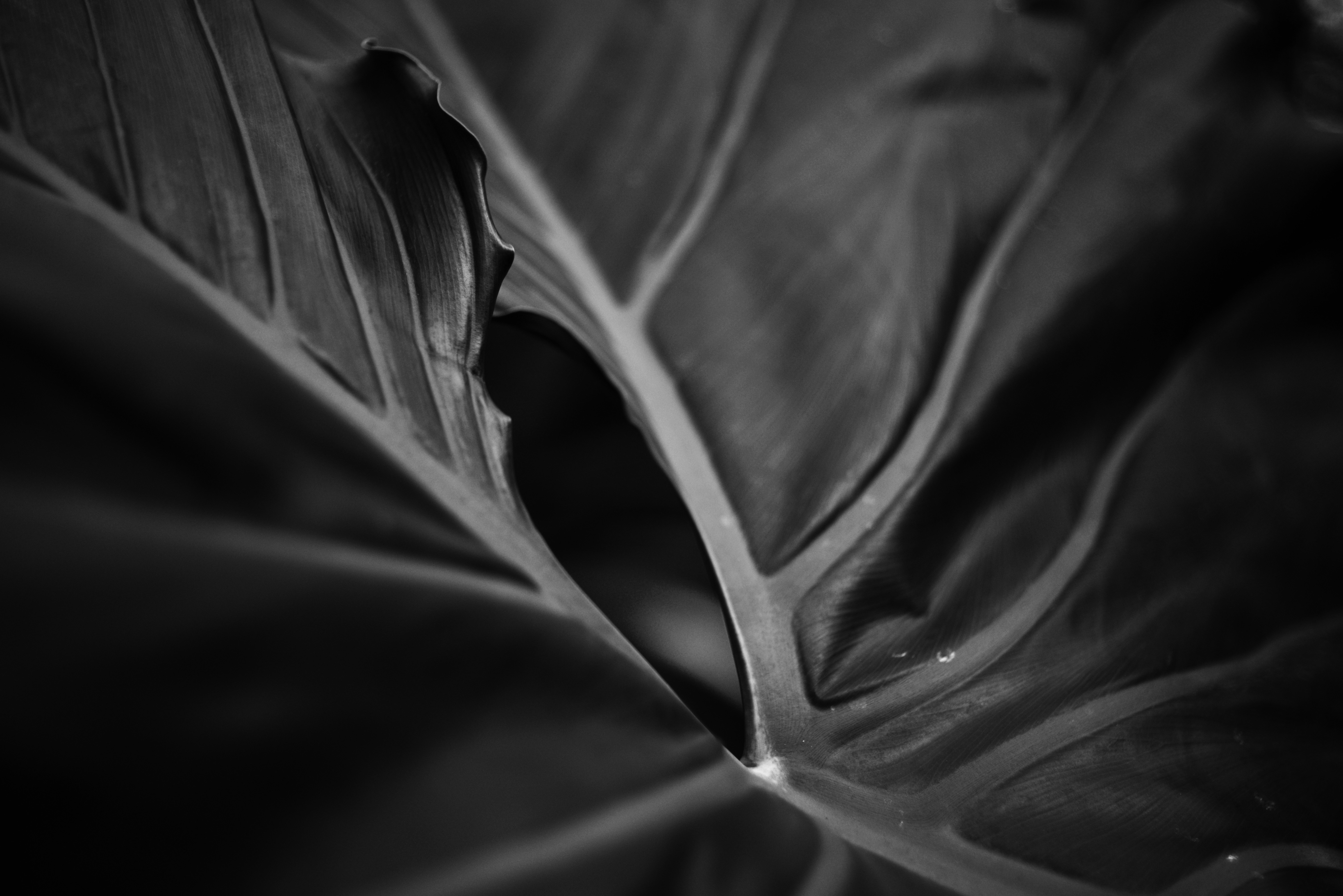 Photo by cherstve_pechivo