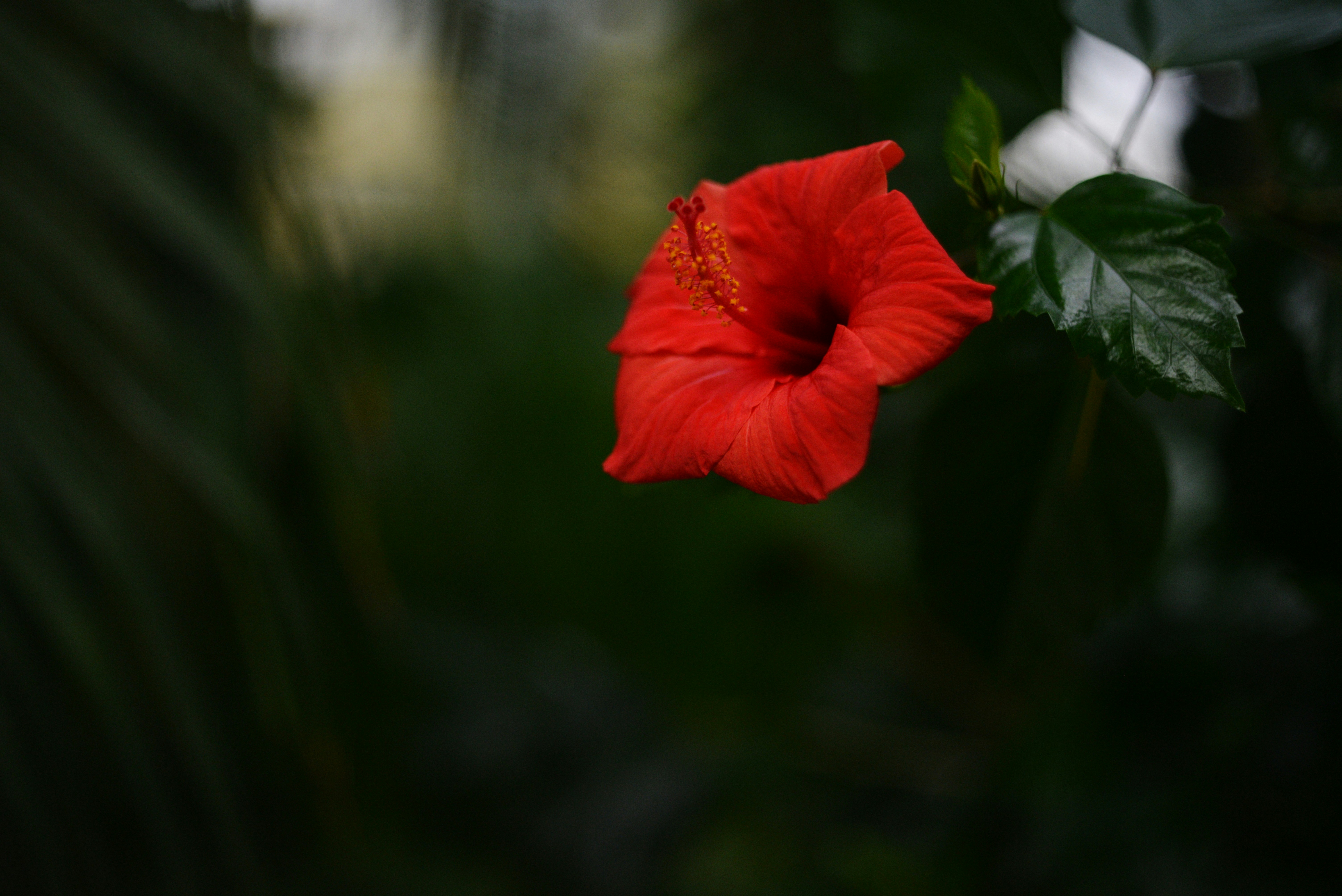 Photo by cherstve_pechivo