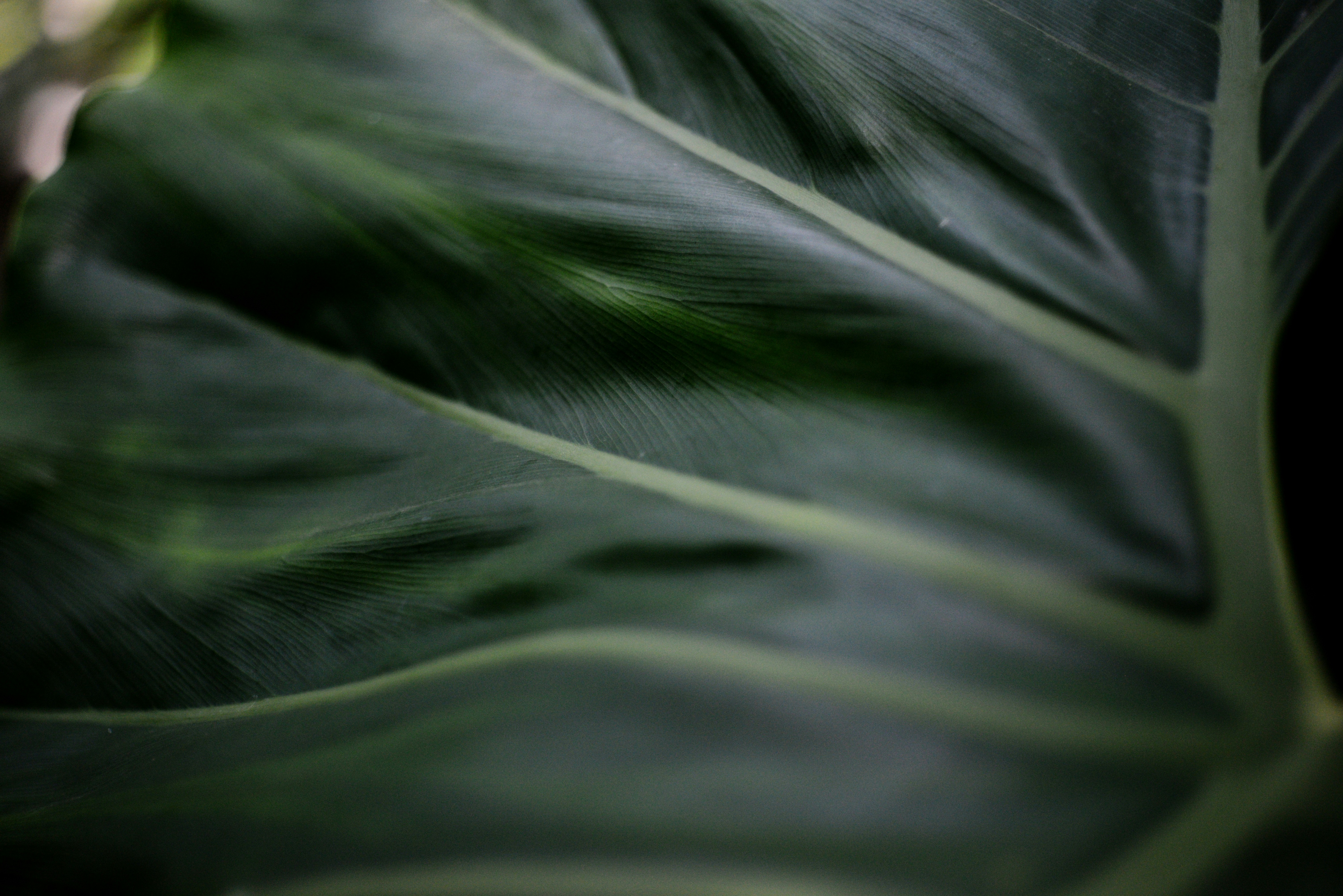 Photo by cherstve_pechivo