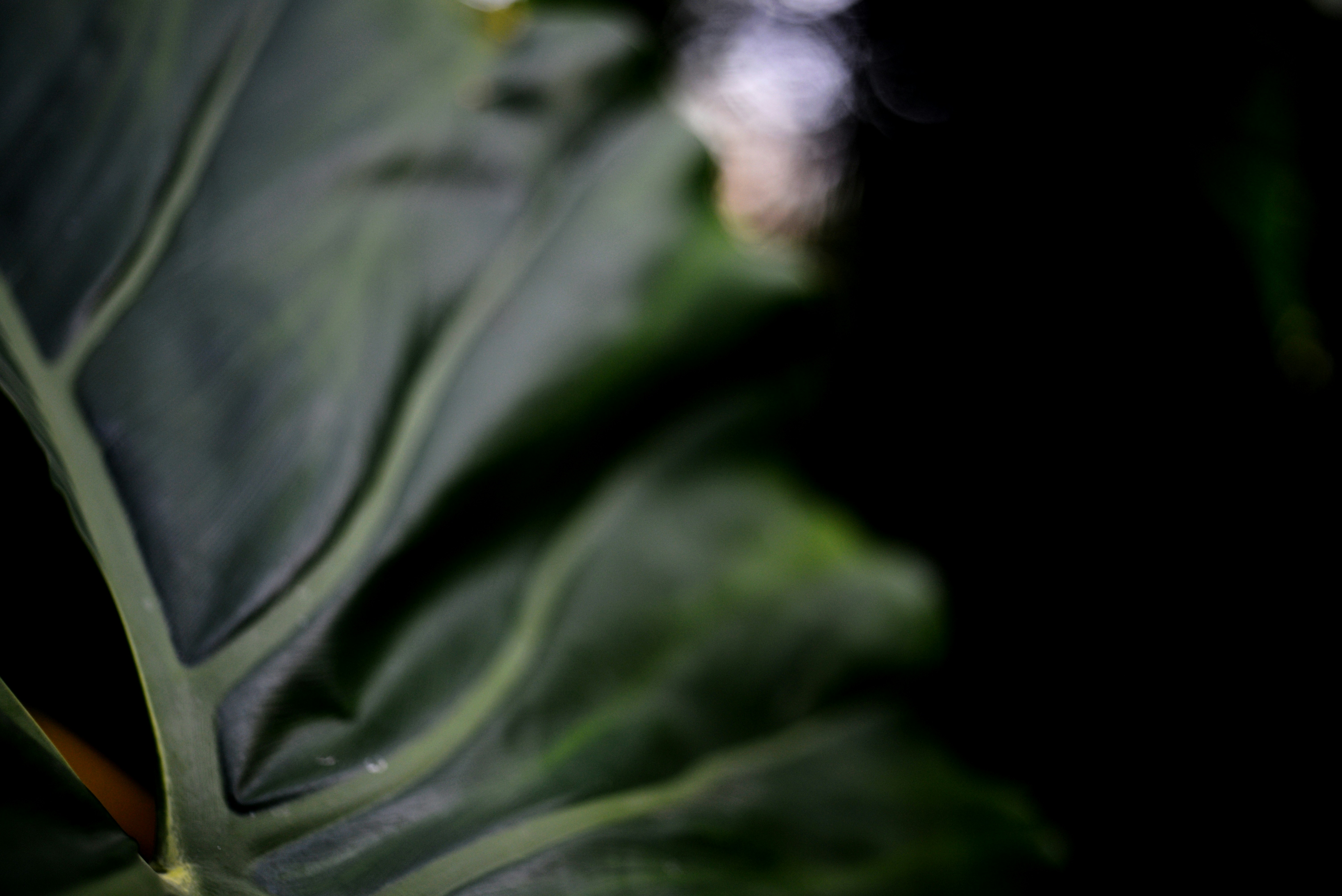 Photo by cherstve_pechivo