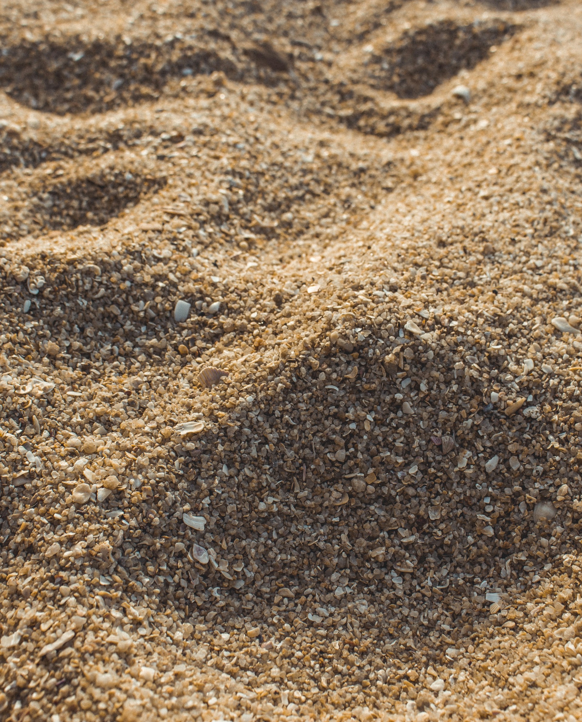 A close up of a bird's footprints in the sand