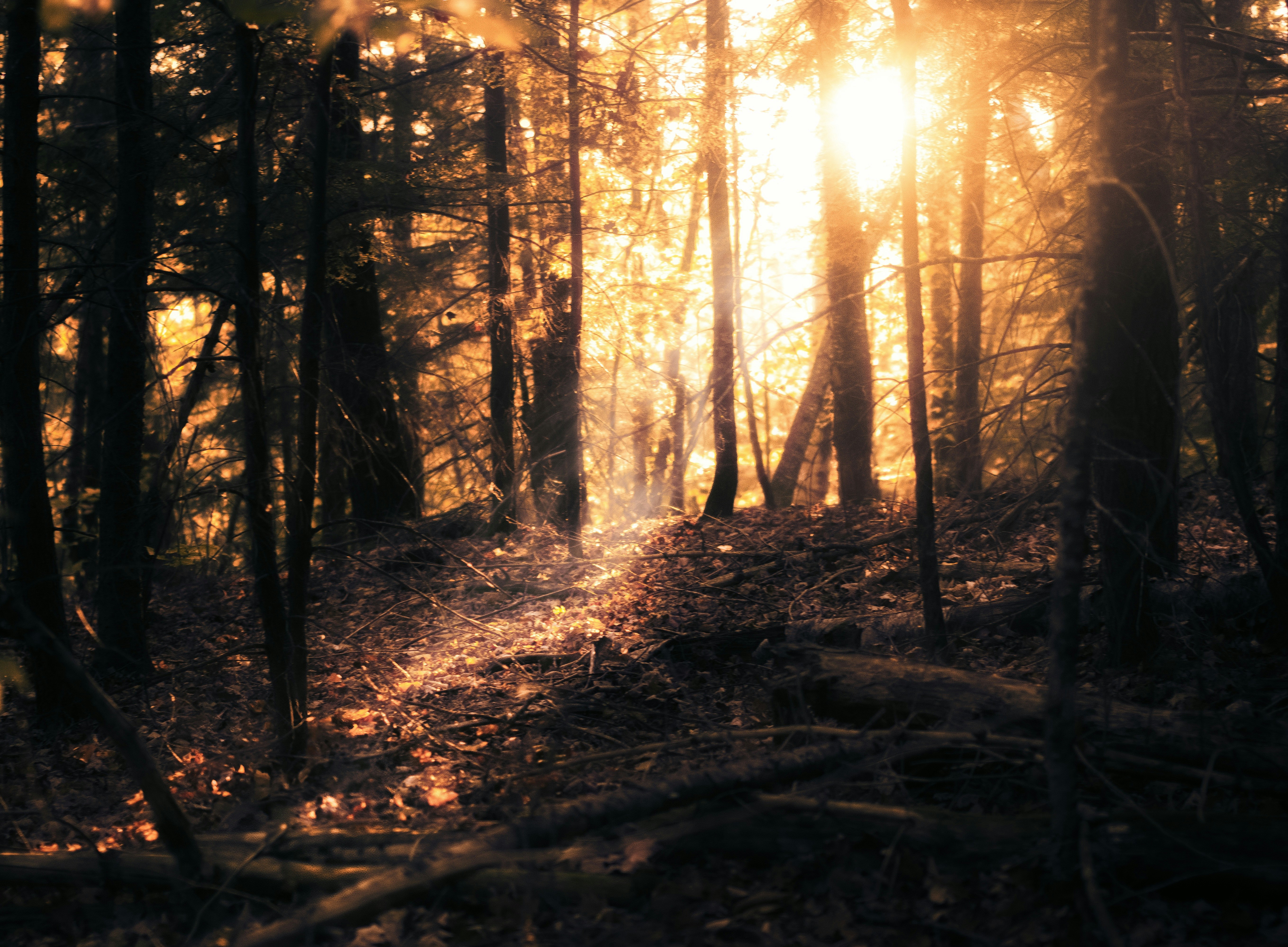 Photo by nh_landscapes