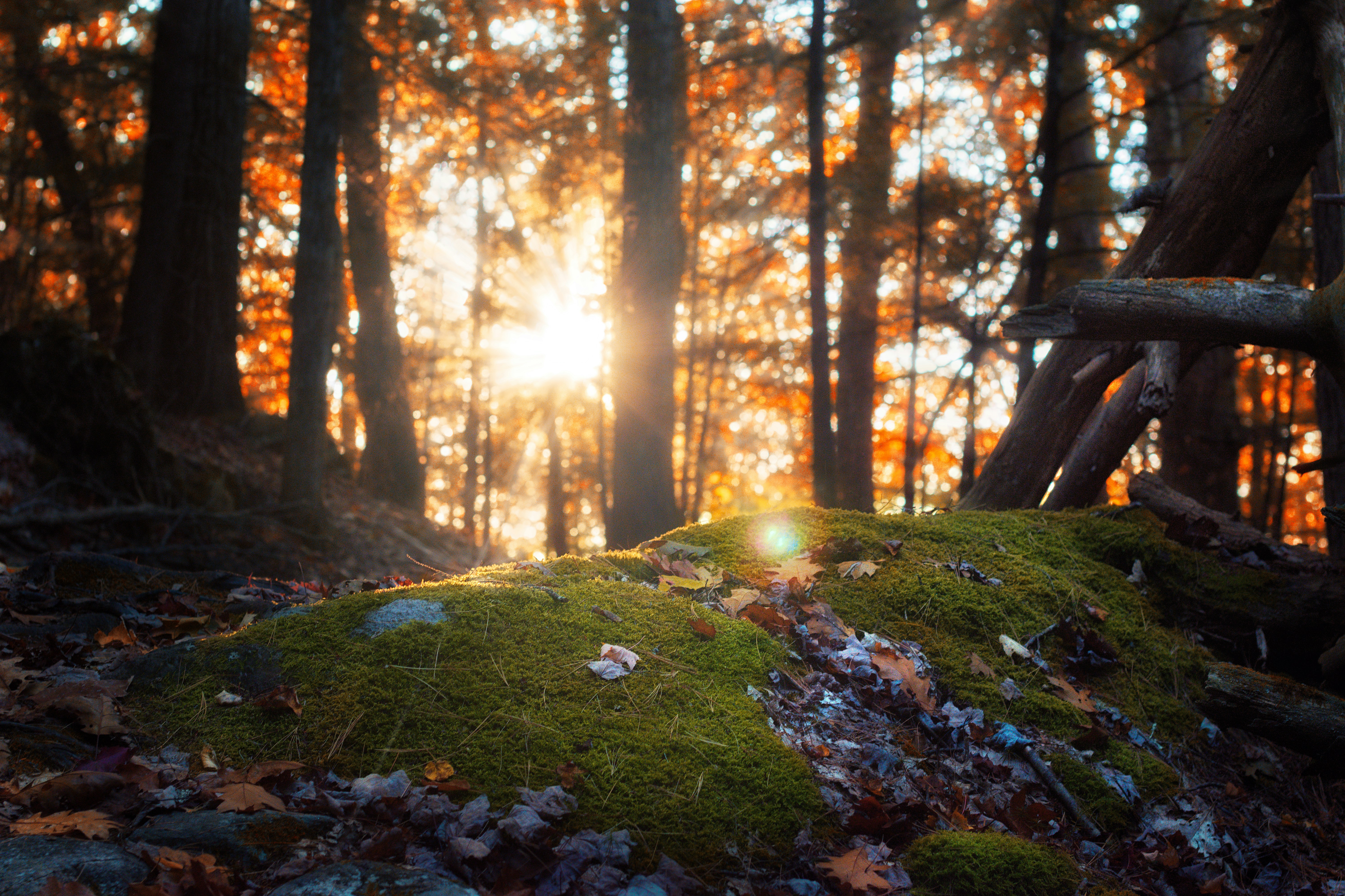 Photo by nh_landscapes