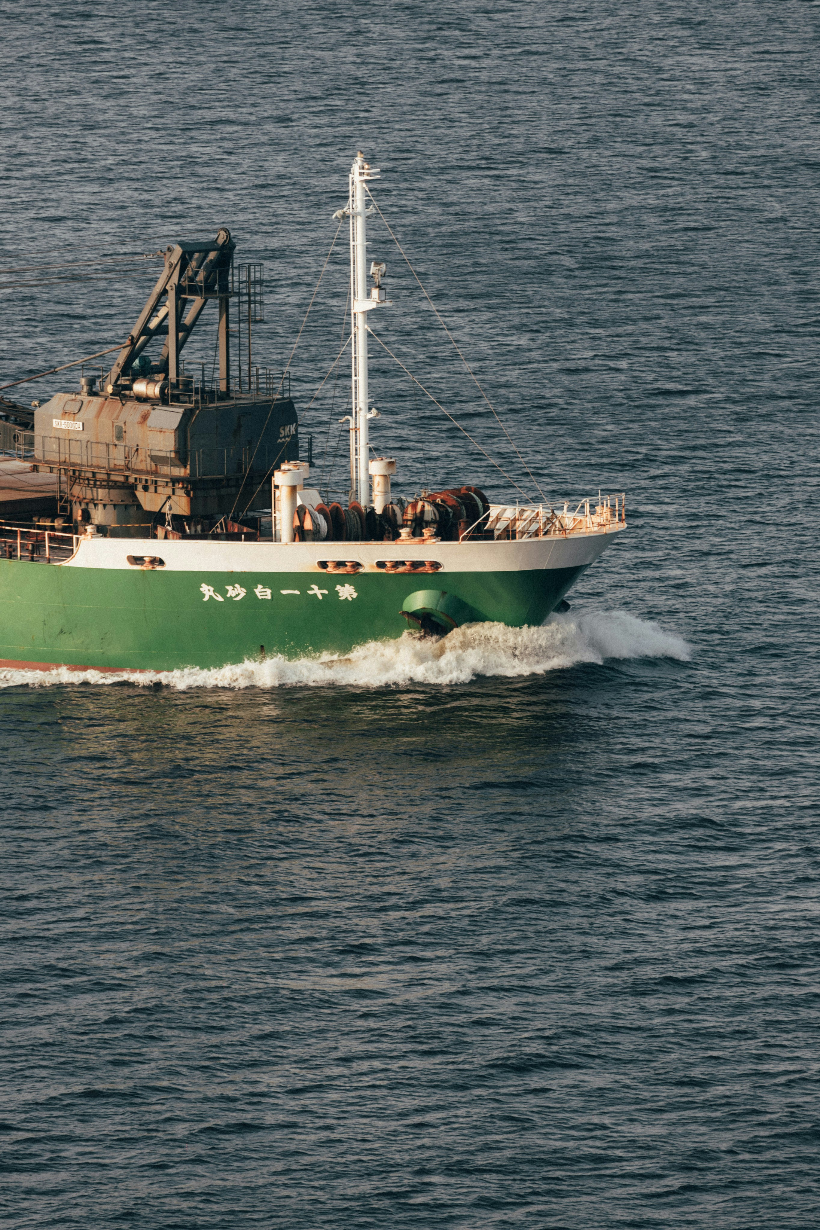 Photo by tsuyoshikozu