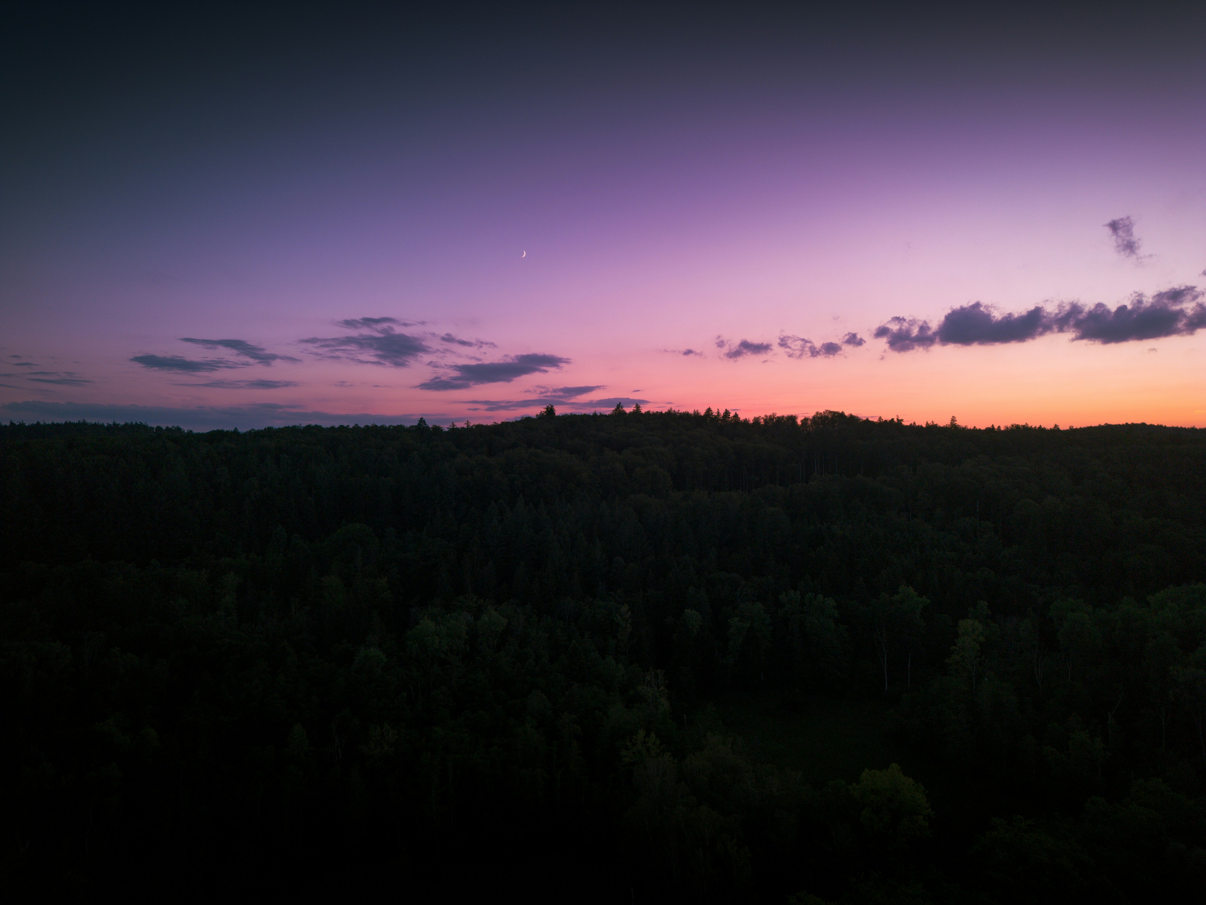 Photo by lursumr