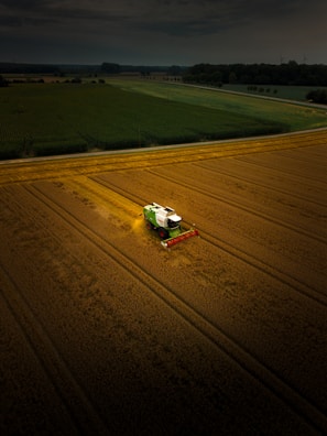 A green and white truck driving across a field