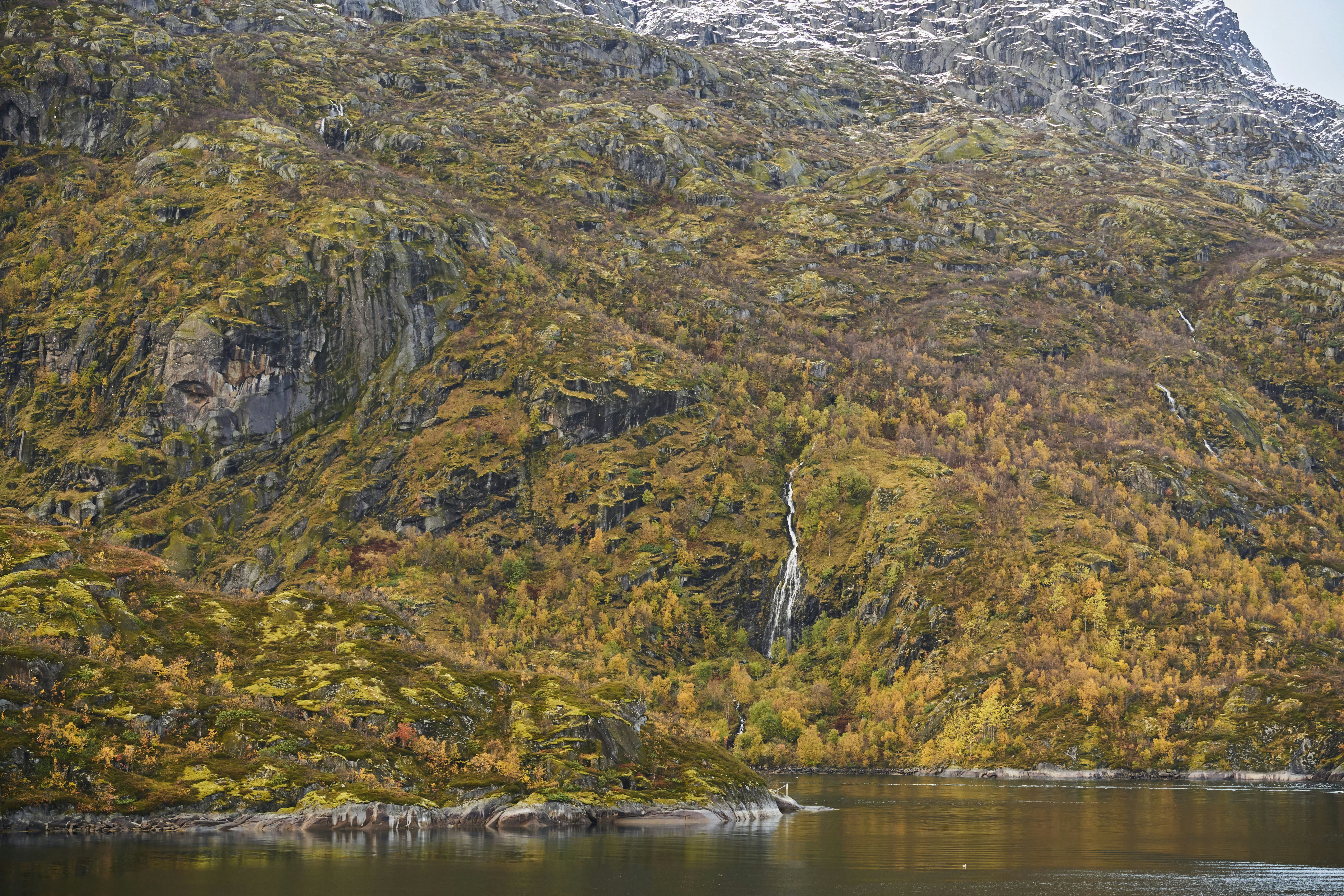 Photo by wolfgang_hasselmann