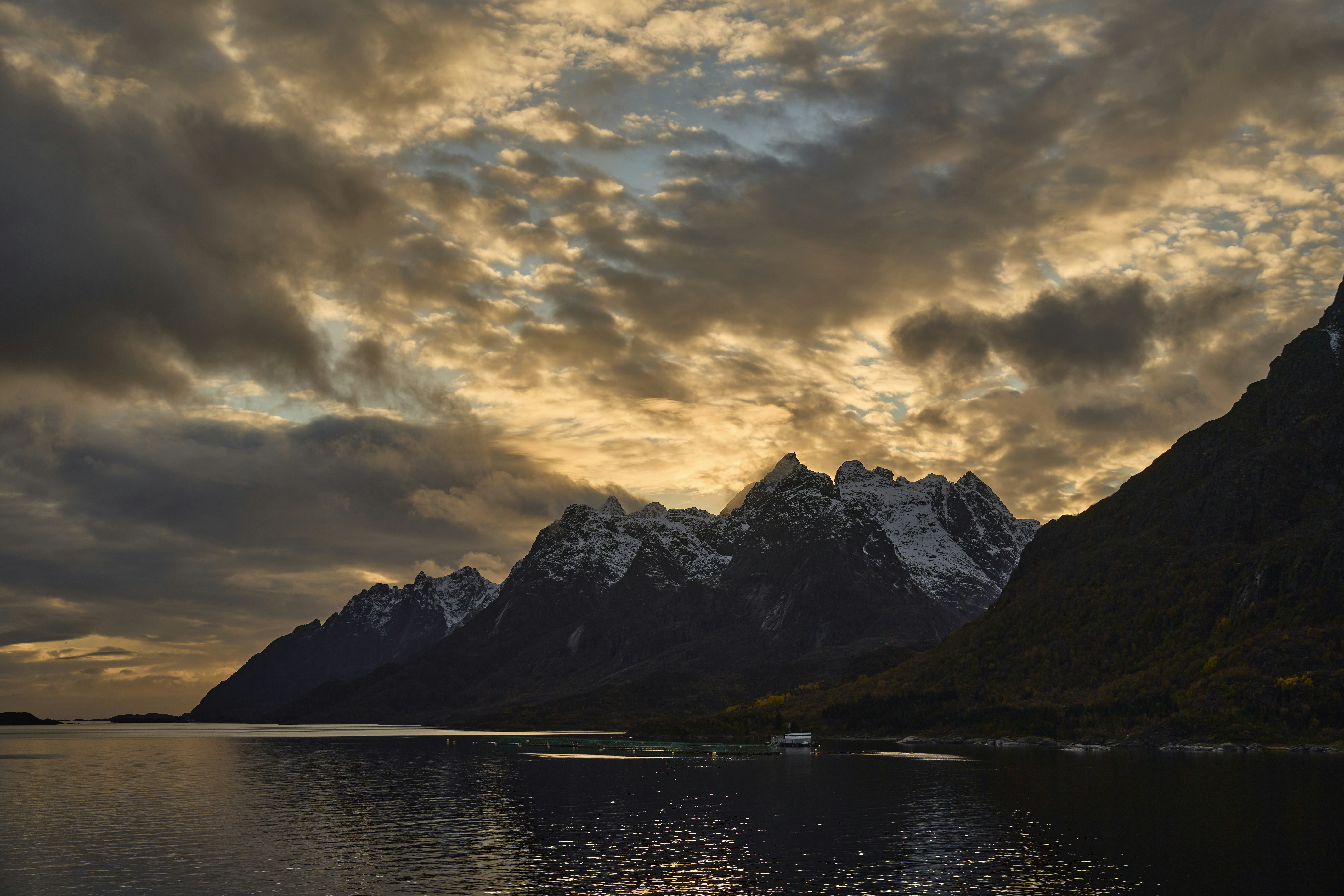 Photo by wolfgang_hasselmann