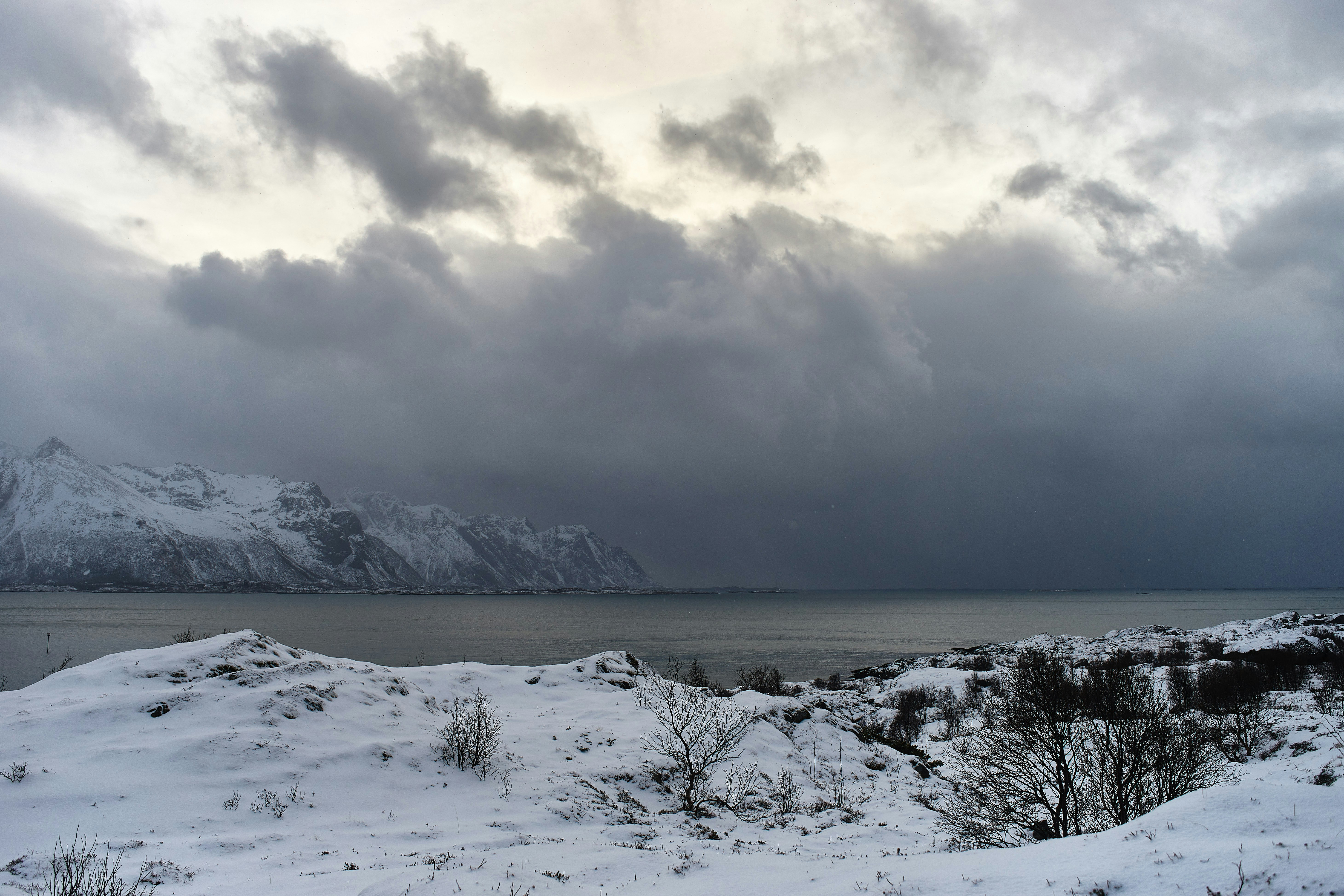 Photo by wolfgang_hasselmann