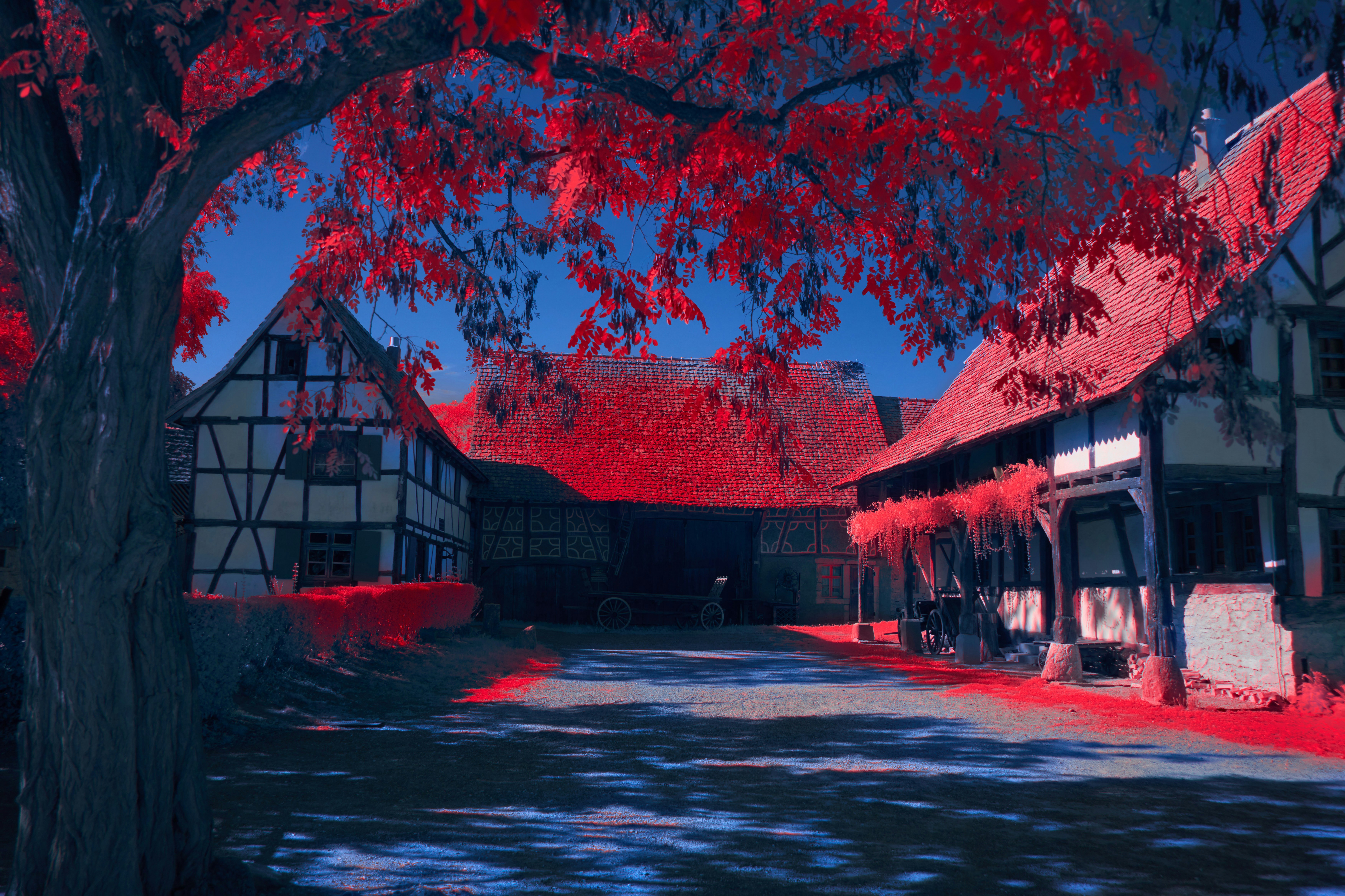 A digital painting of a street with a red tree