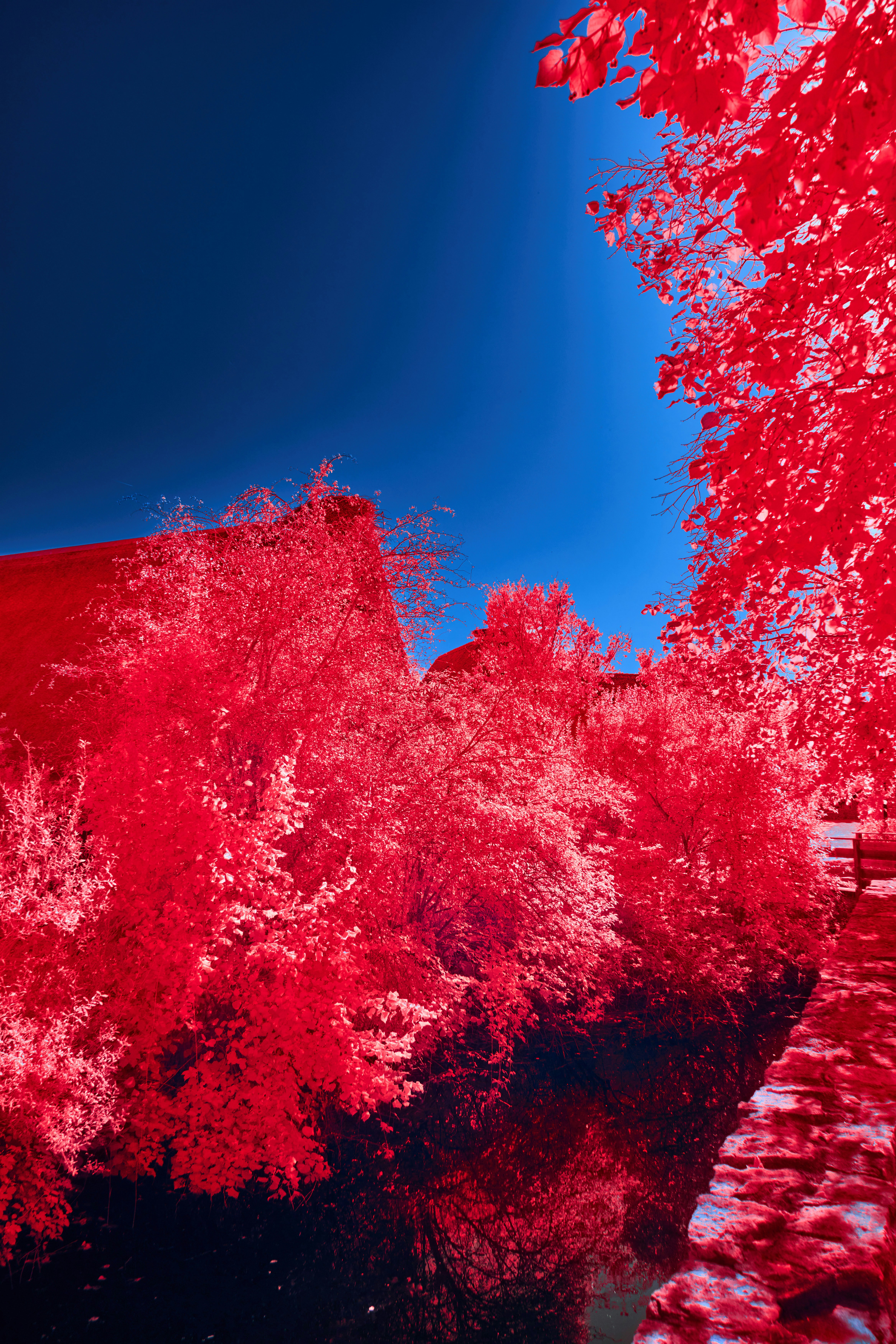 Photo by wolfgang_hasselmann