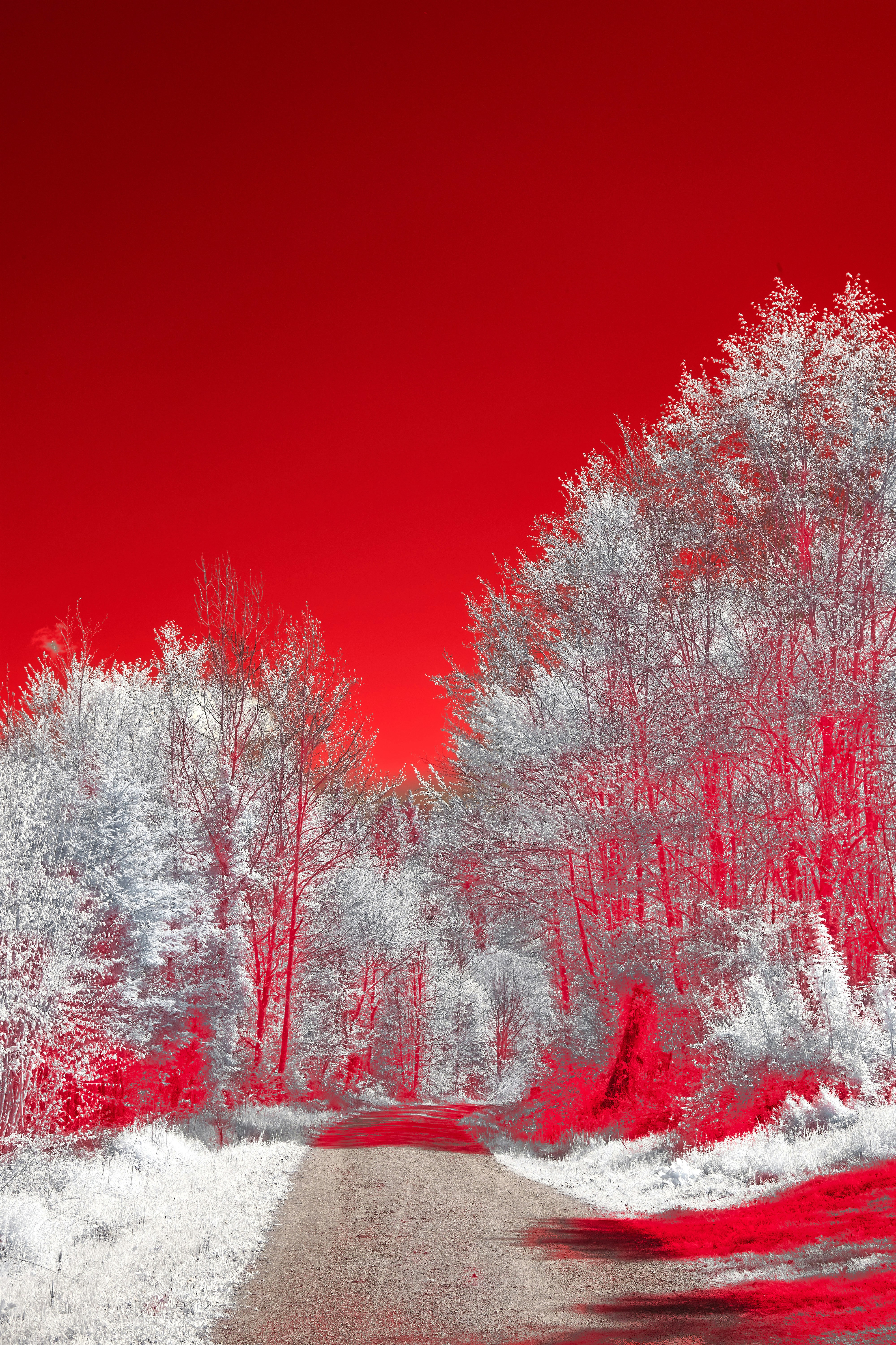 Photo by wolfgang_hasselmann