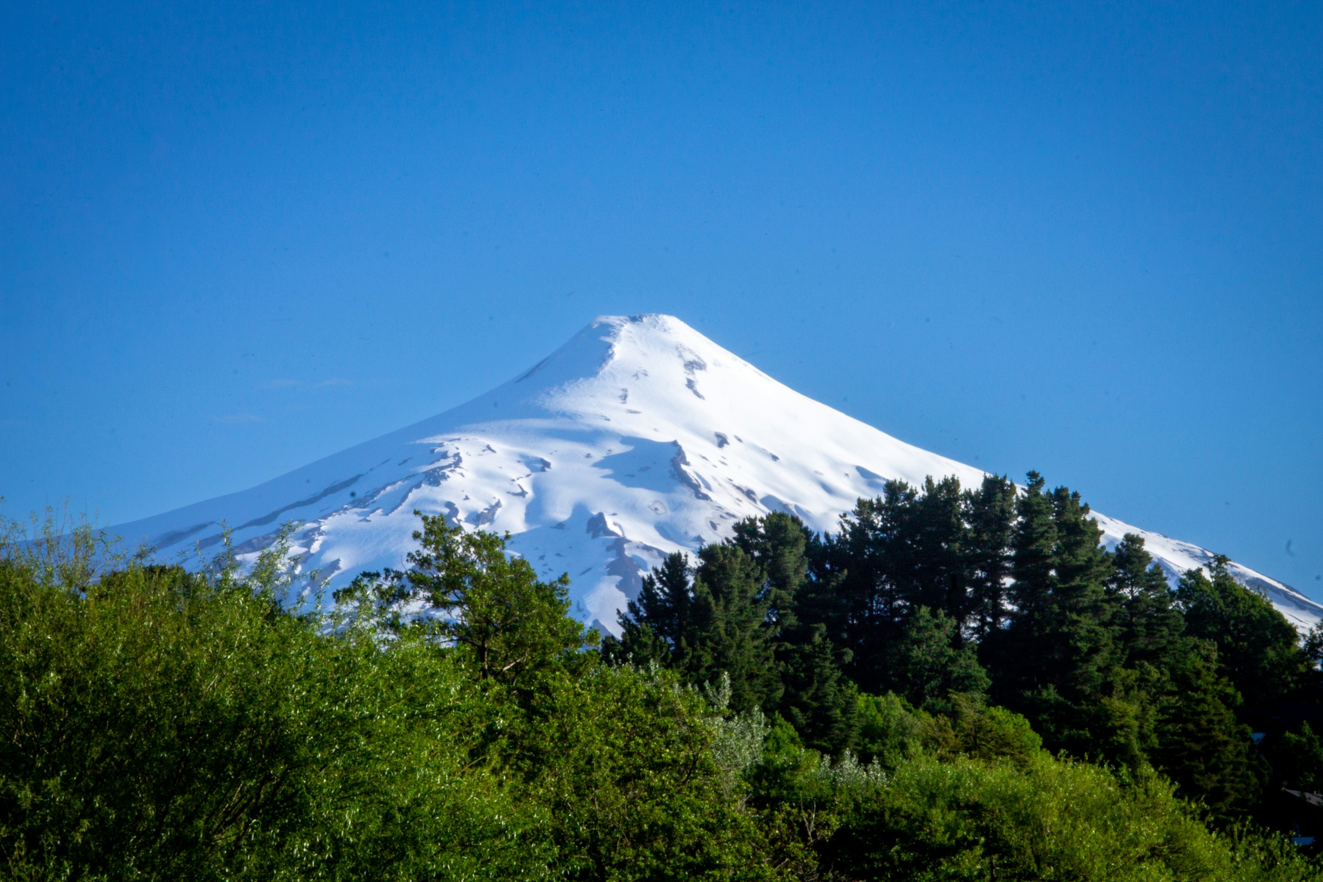 A snow covered mountain in the middle of a forest