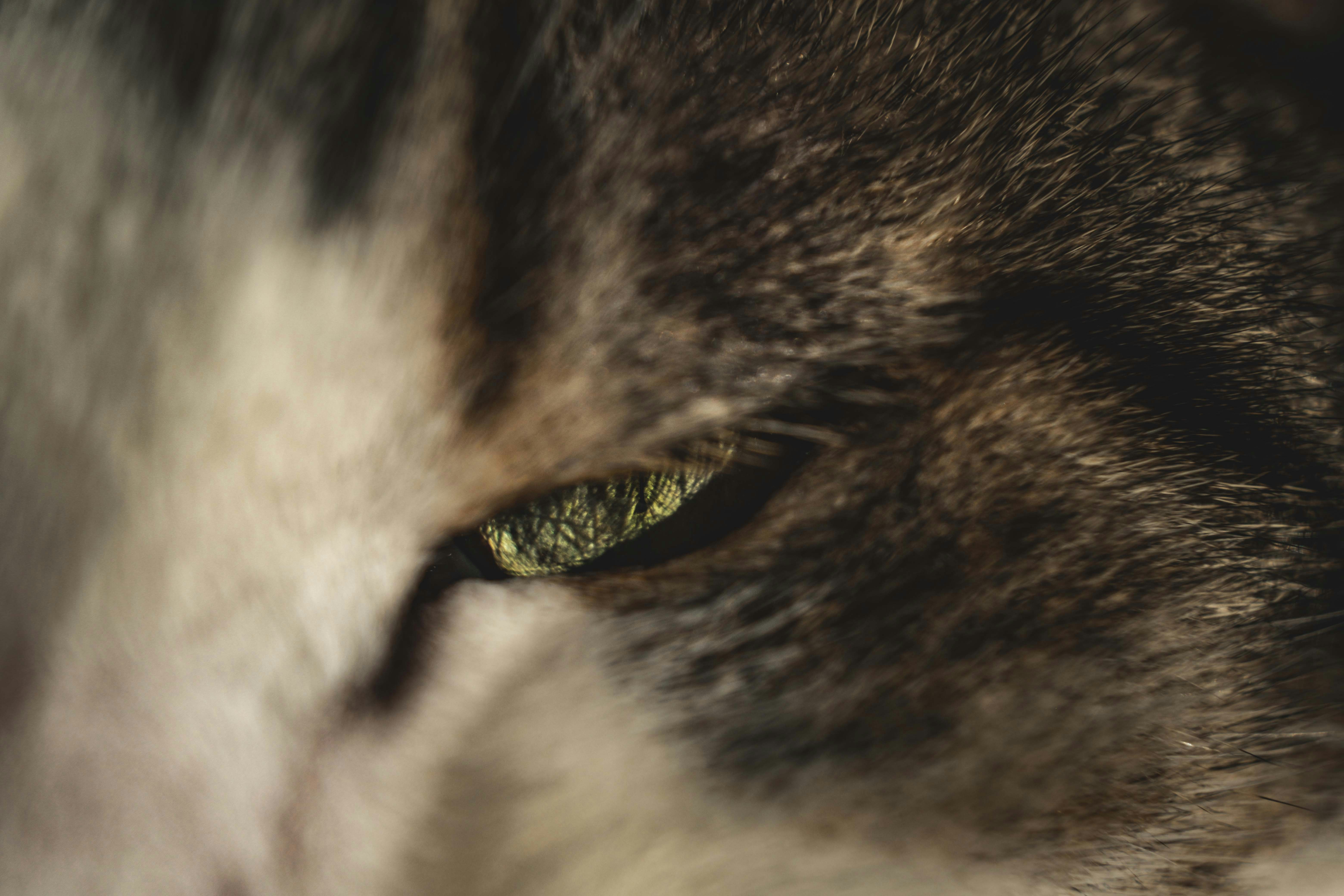 Photo by francesco_ungaro