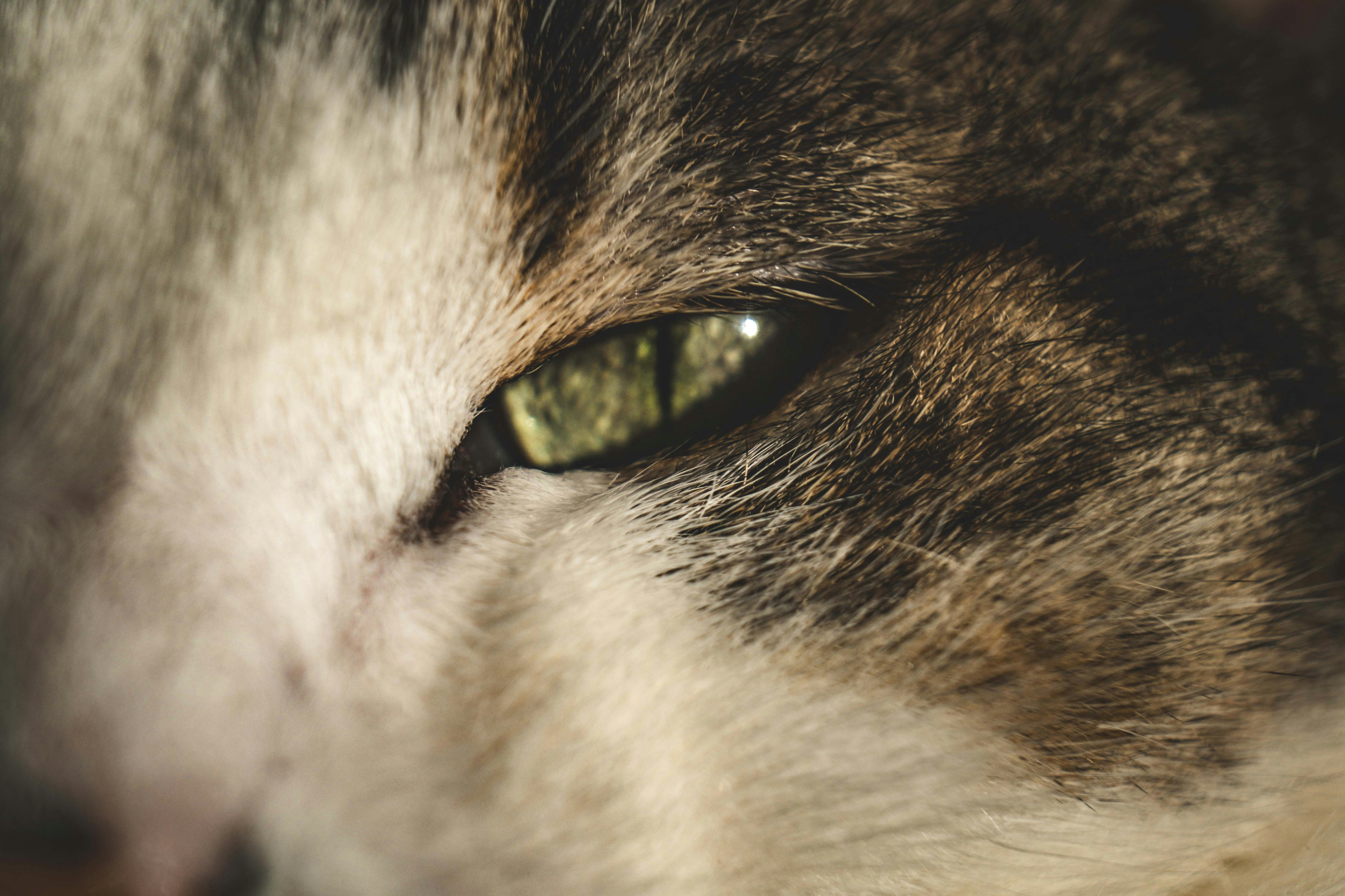 Photo by francesco_ungaro