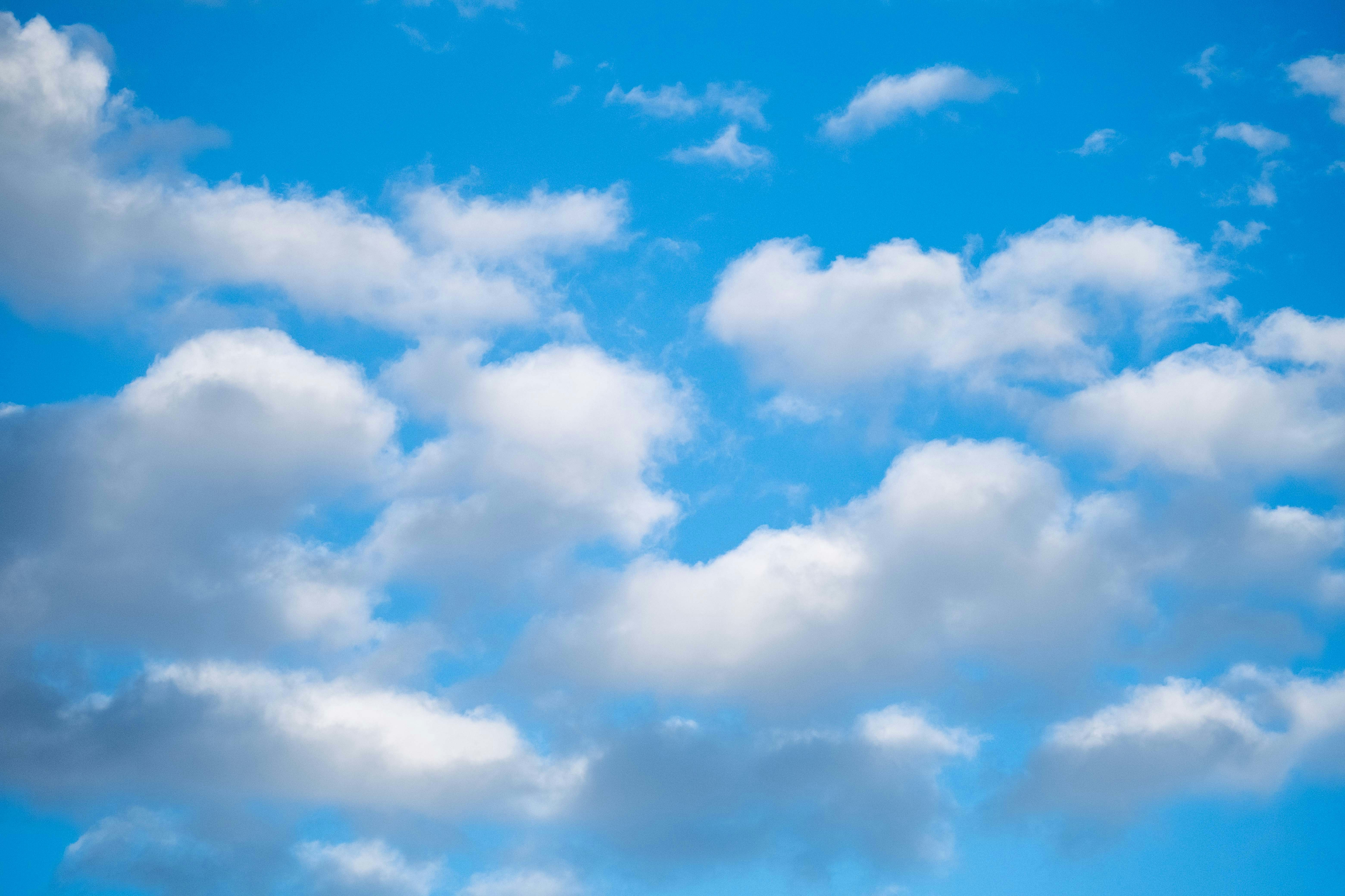 Photo by francesco_ungaro