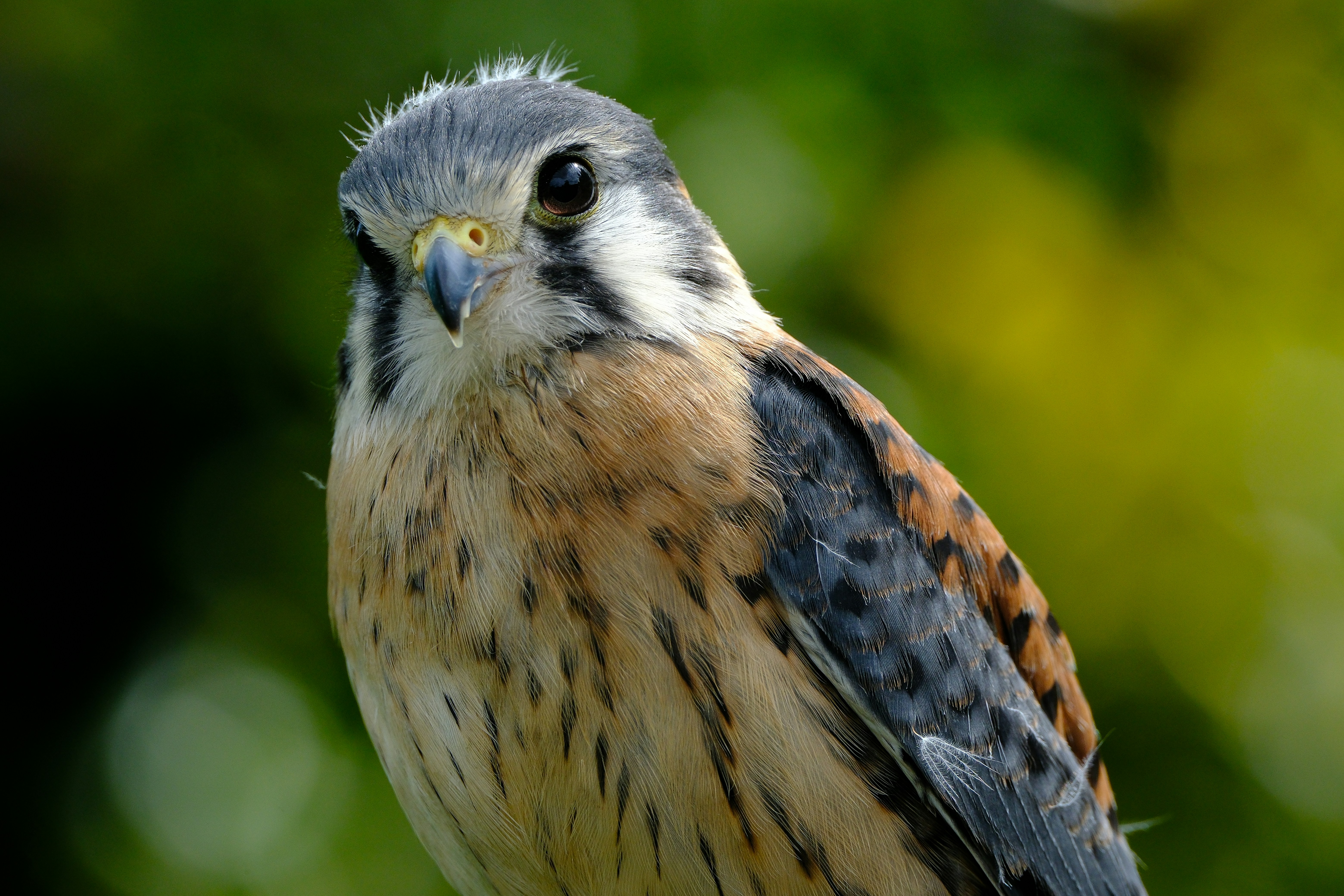 Photo by philrobson100