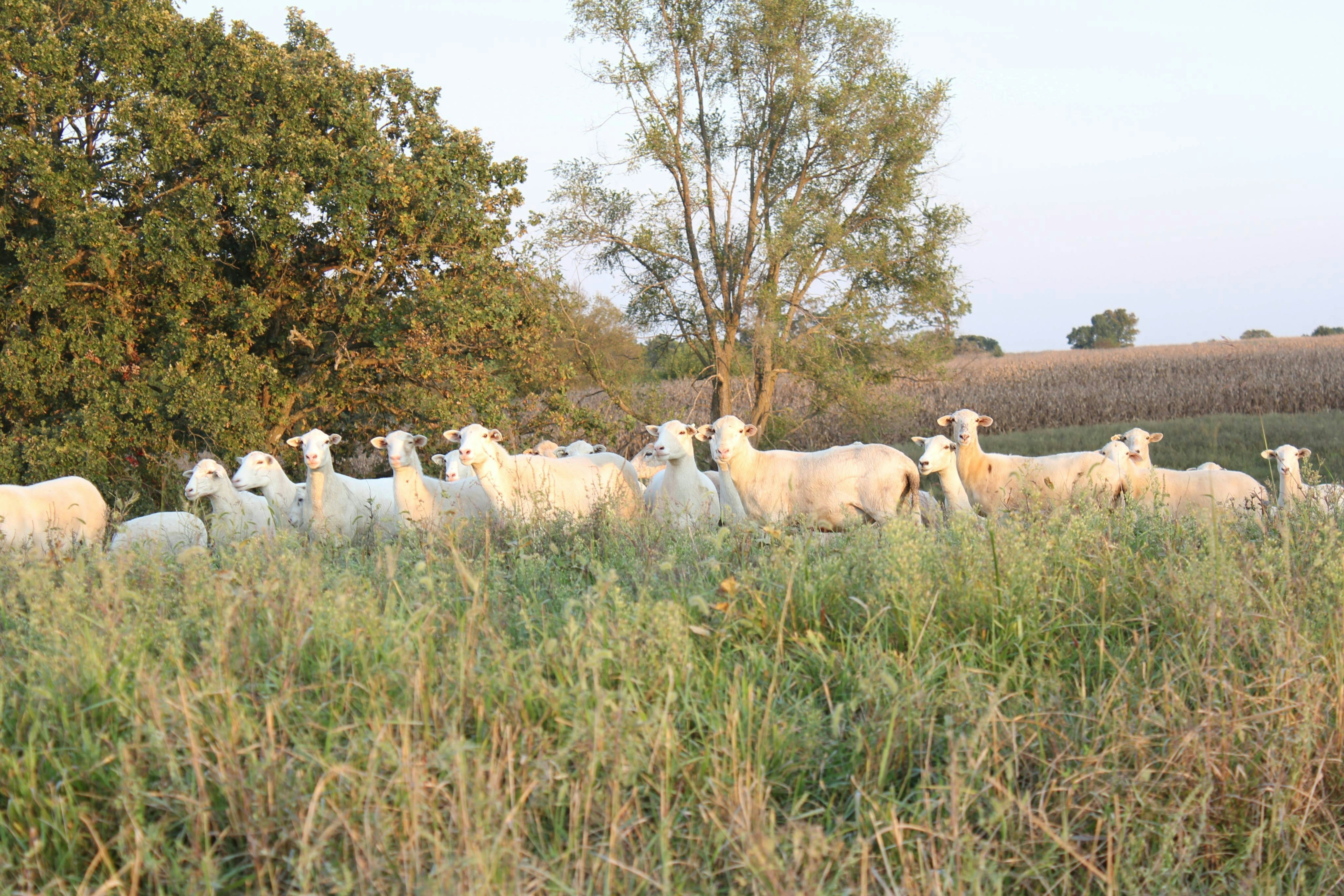 Photo by camdanperry